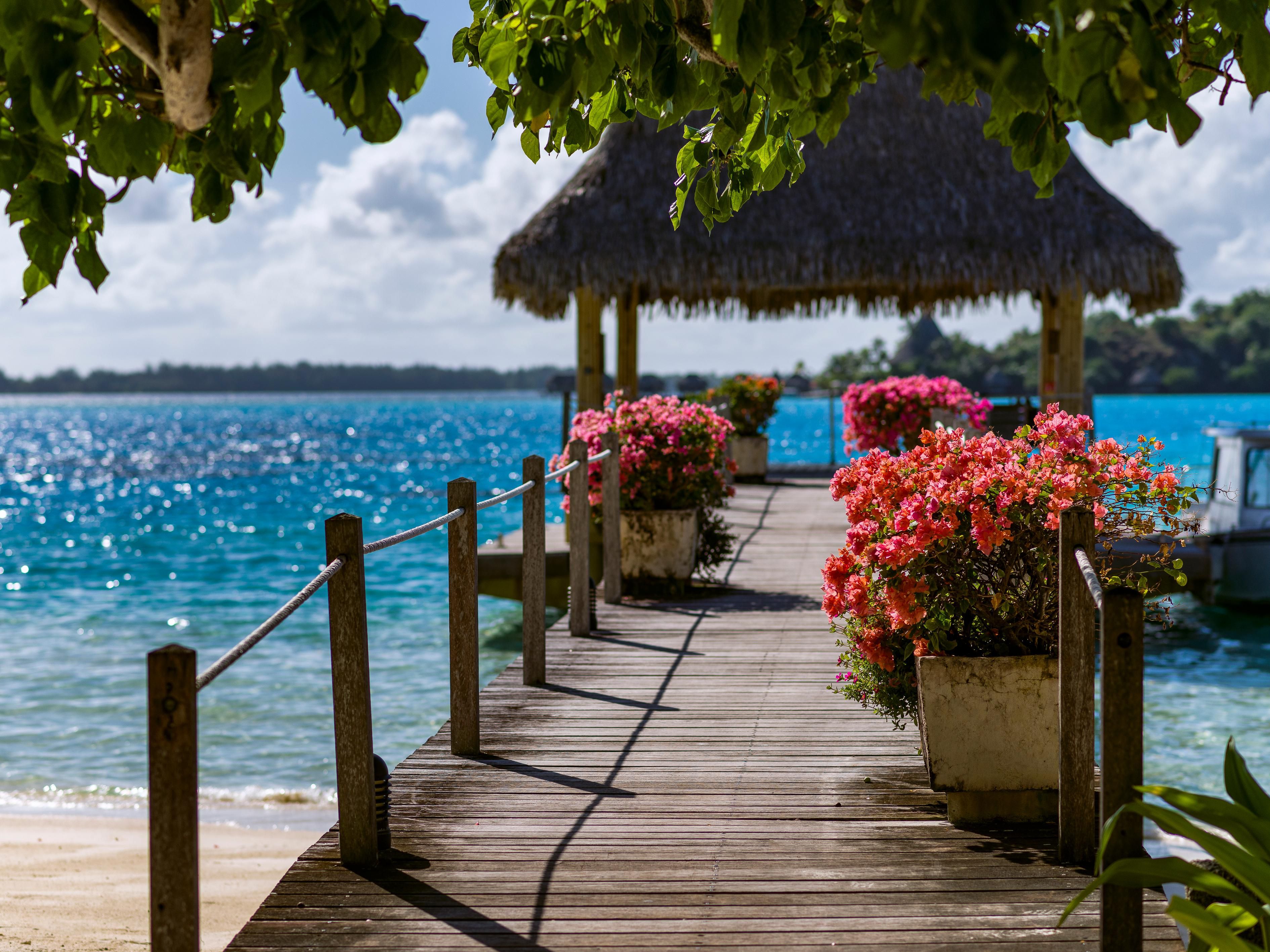 Dock