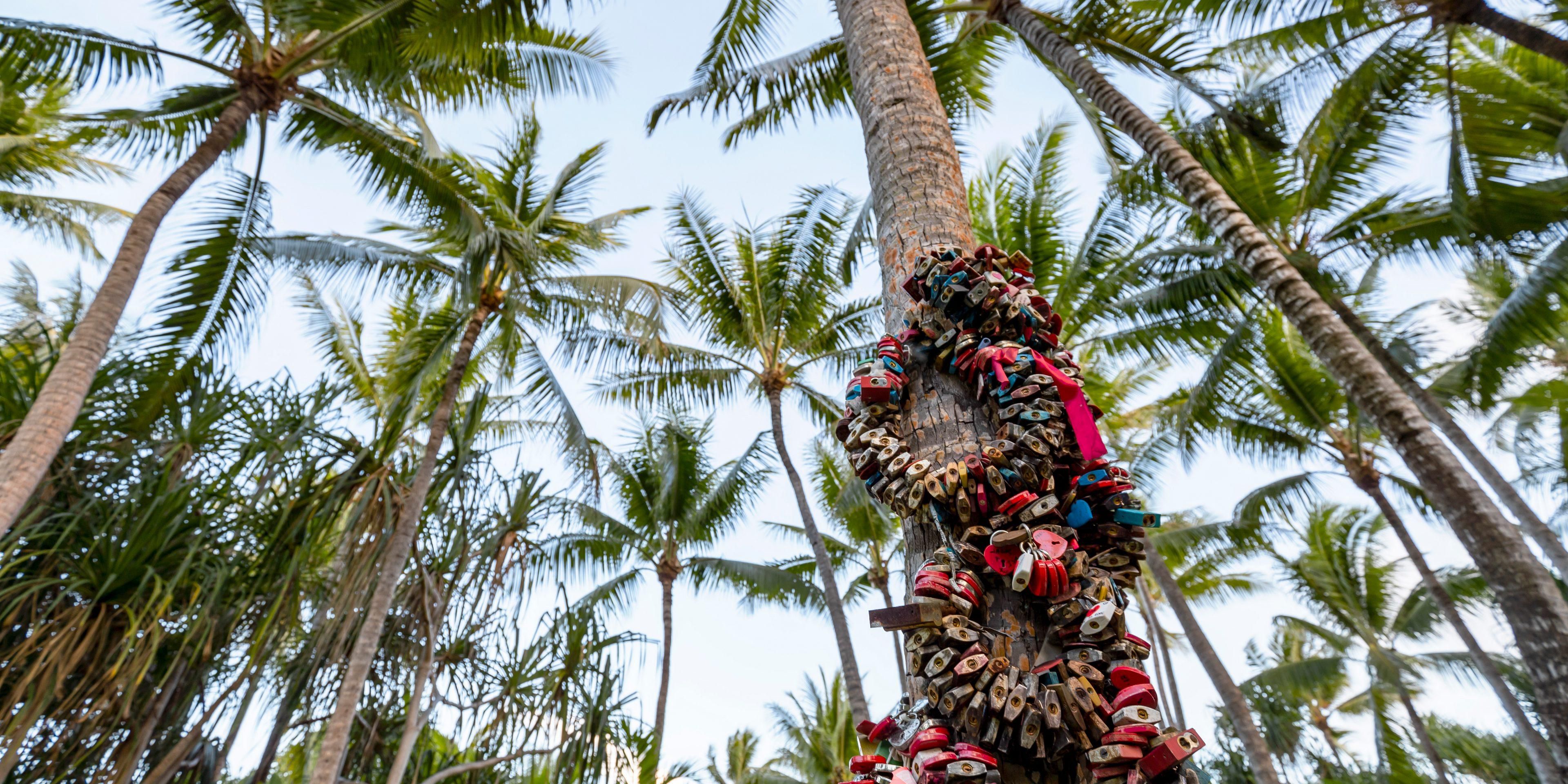 Hidden in our botanical garden, the Secret Garden of Love invites sweethearts to seal their love with a lock, symbolizing their everlasting affection in Polynesian style.