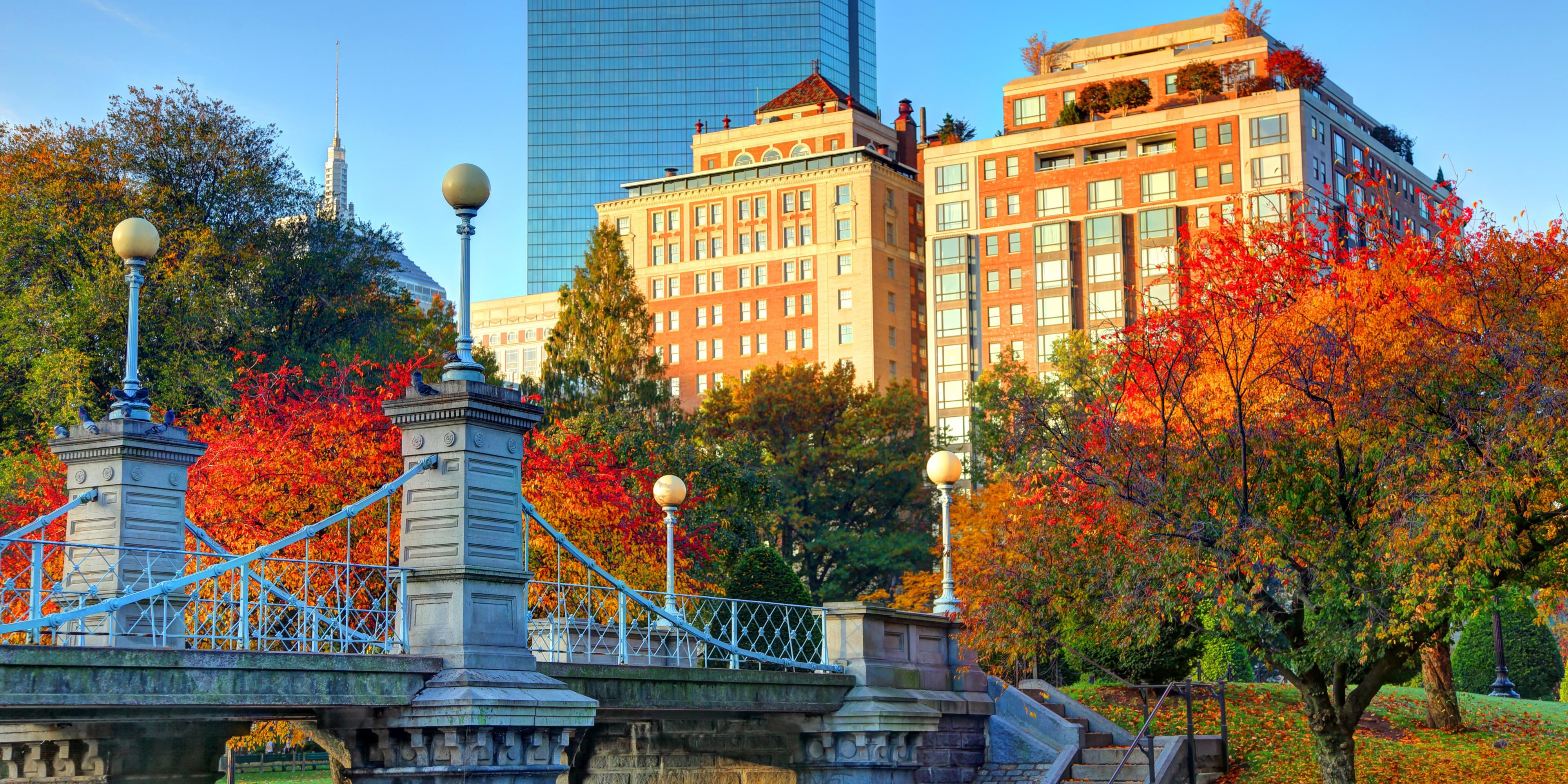 Crisp air, golden leaves, and coastal charm make fall the perfect season to experience Boston Harbor. Seasonal attractions including sporting events, Oktoberfest, nearby orchards, and brilliant New England foliage will elevate your autumn getaway.
