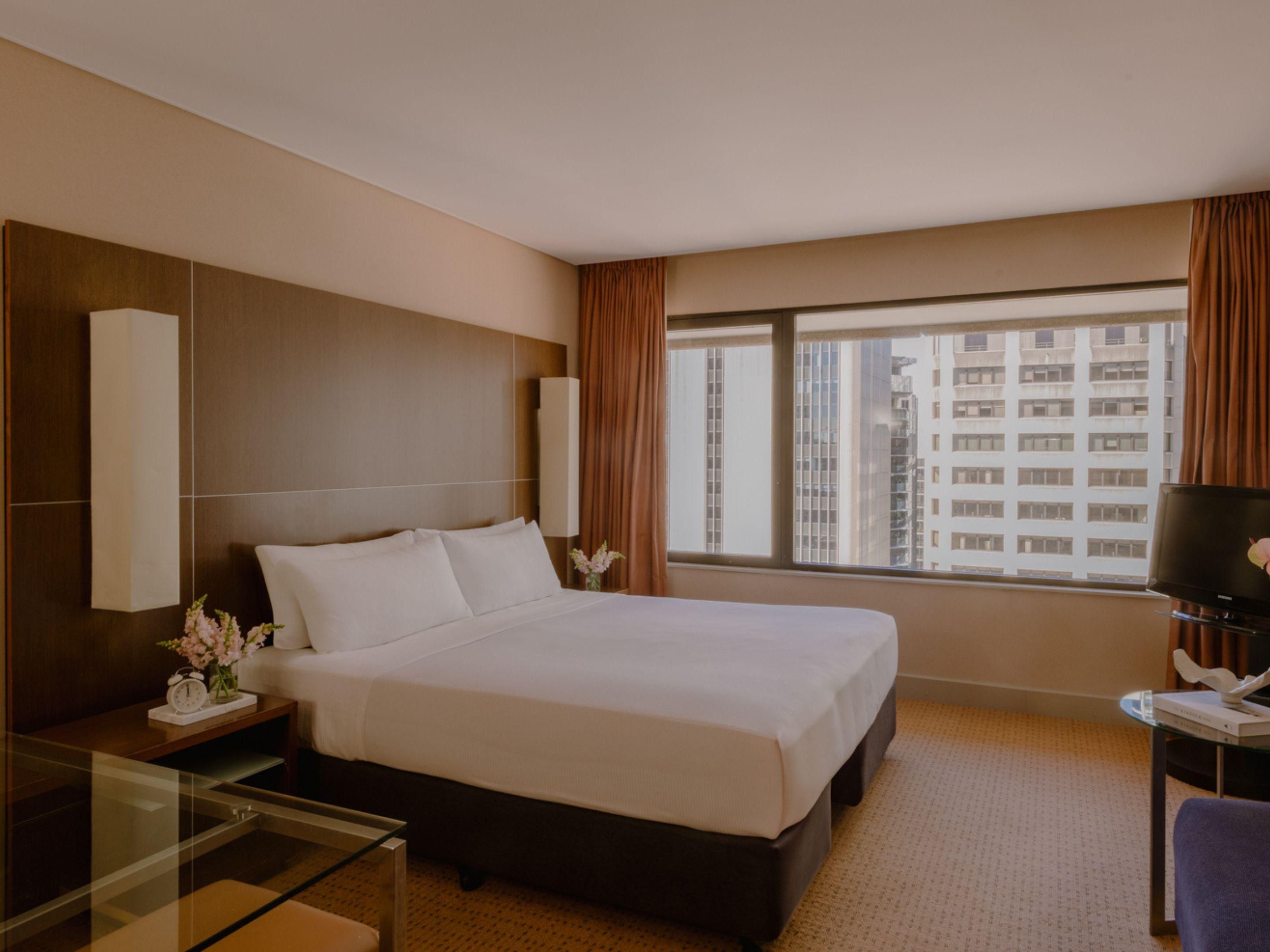 King Classic Room showing room space and city views