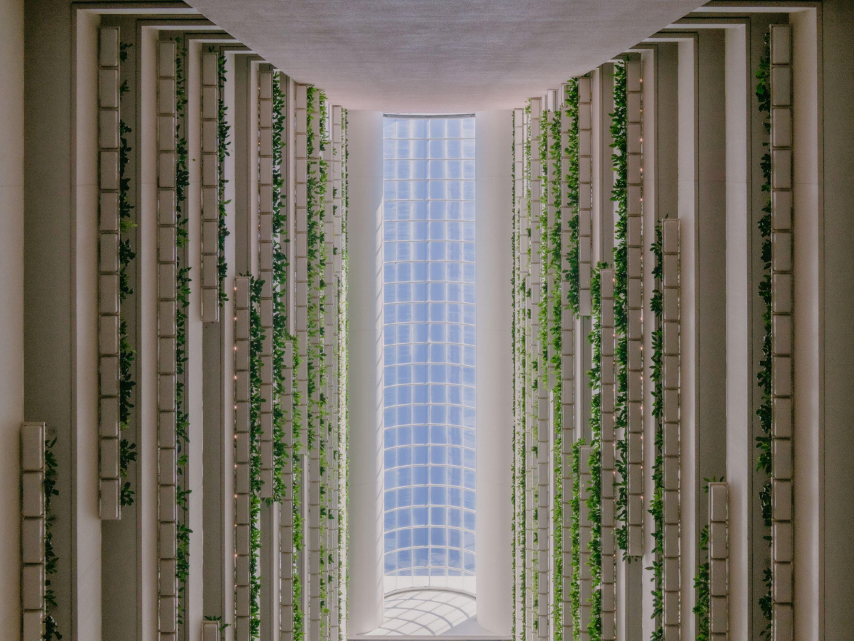 Skylight in the hotel's soaring atrium 