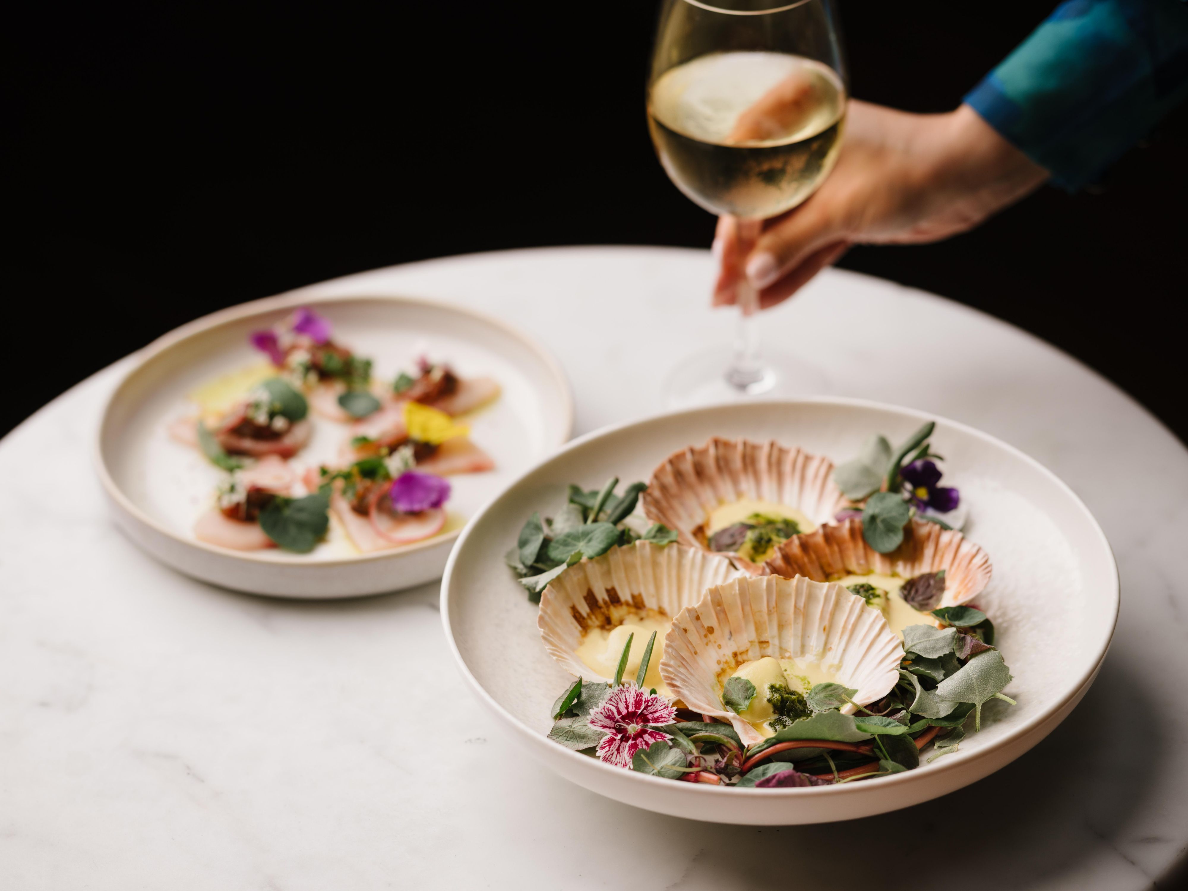Luxury Seafood: Scallops & Kingfish at Latitude 27 Kitchen