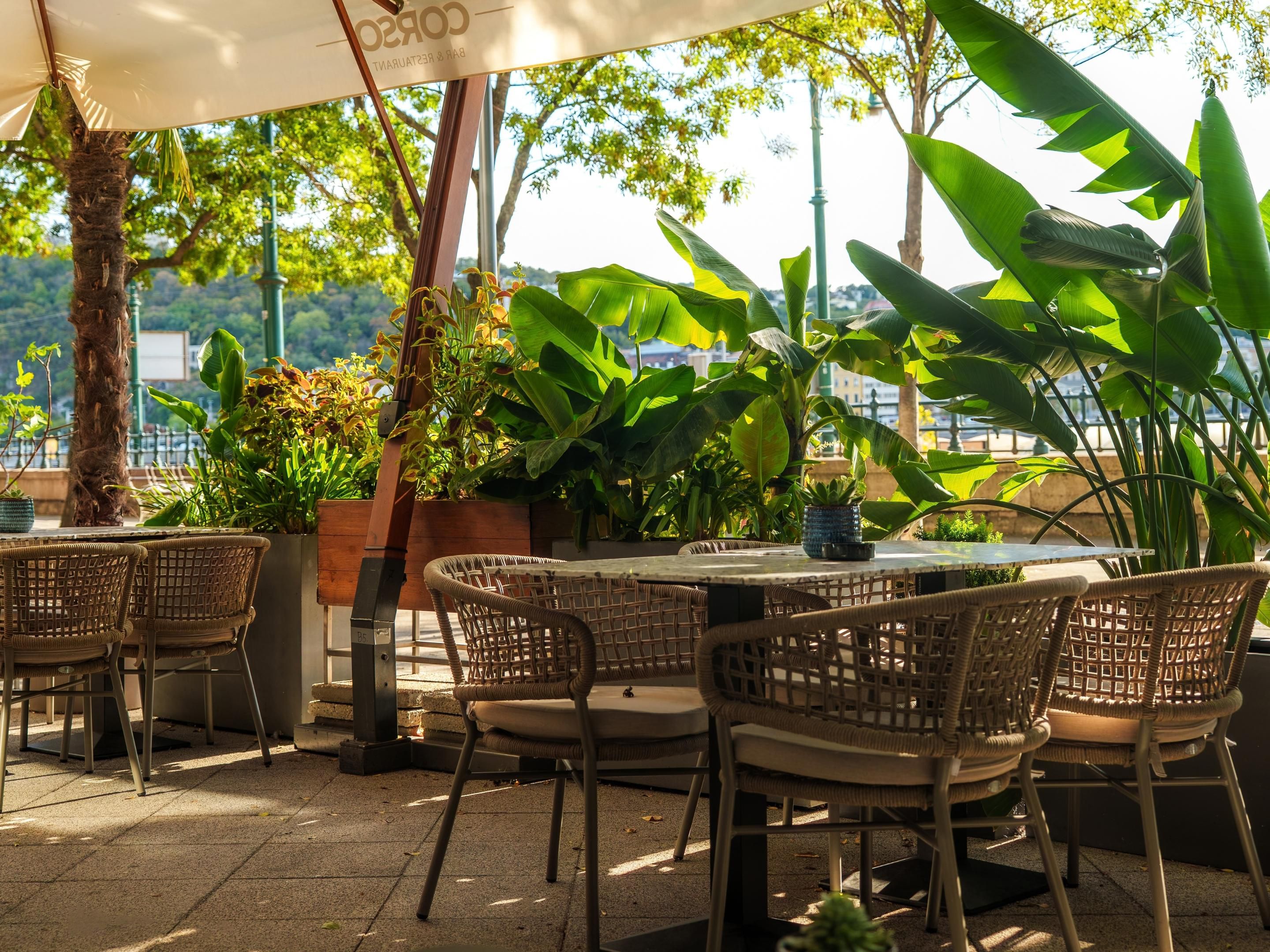 Corso Bar and Terrace
