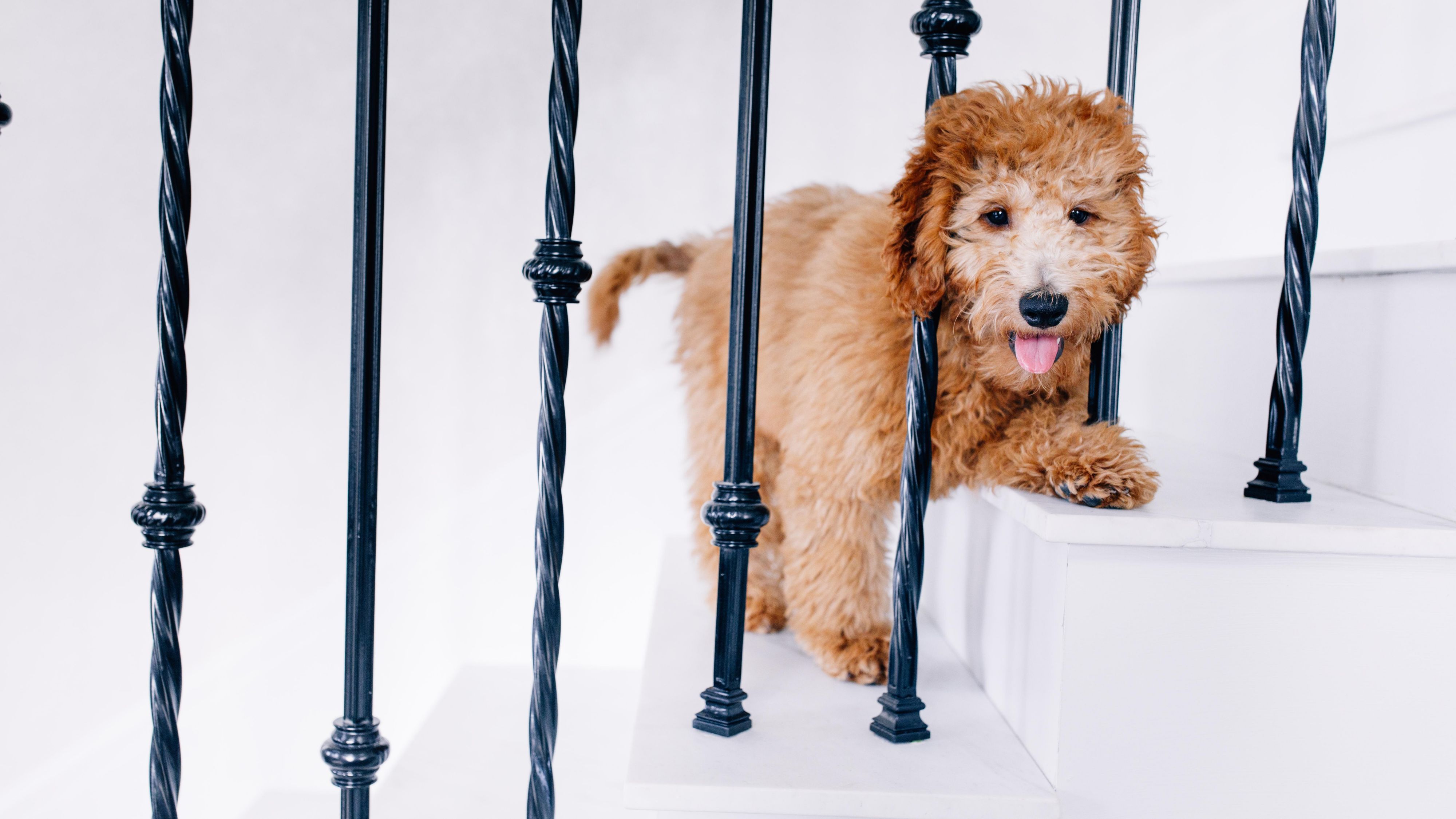 InterContinental Chicago Magnificent Mile Save 25 or more on