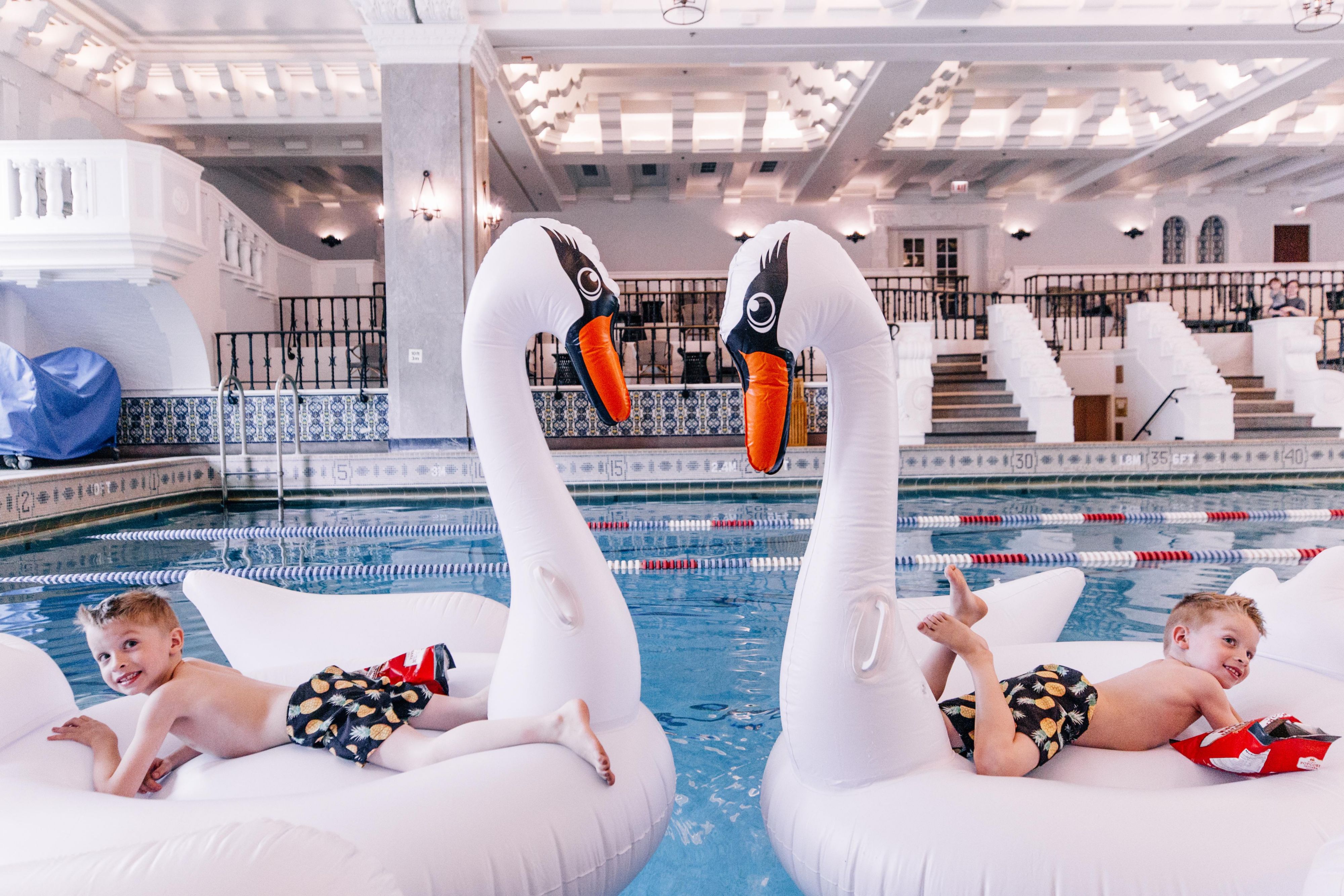twin boys on swan floatie in pool