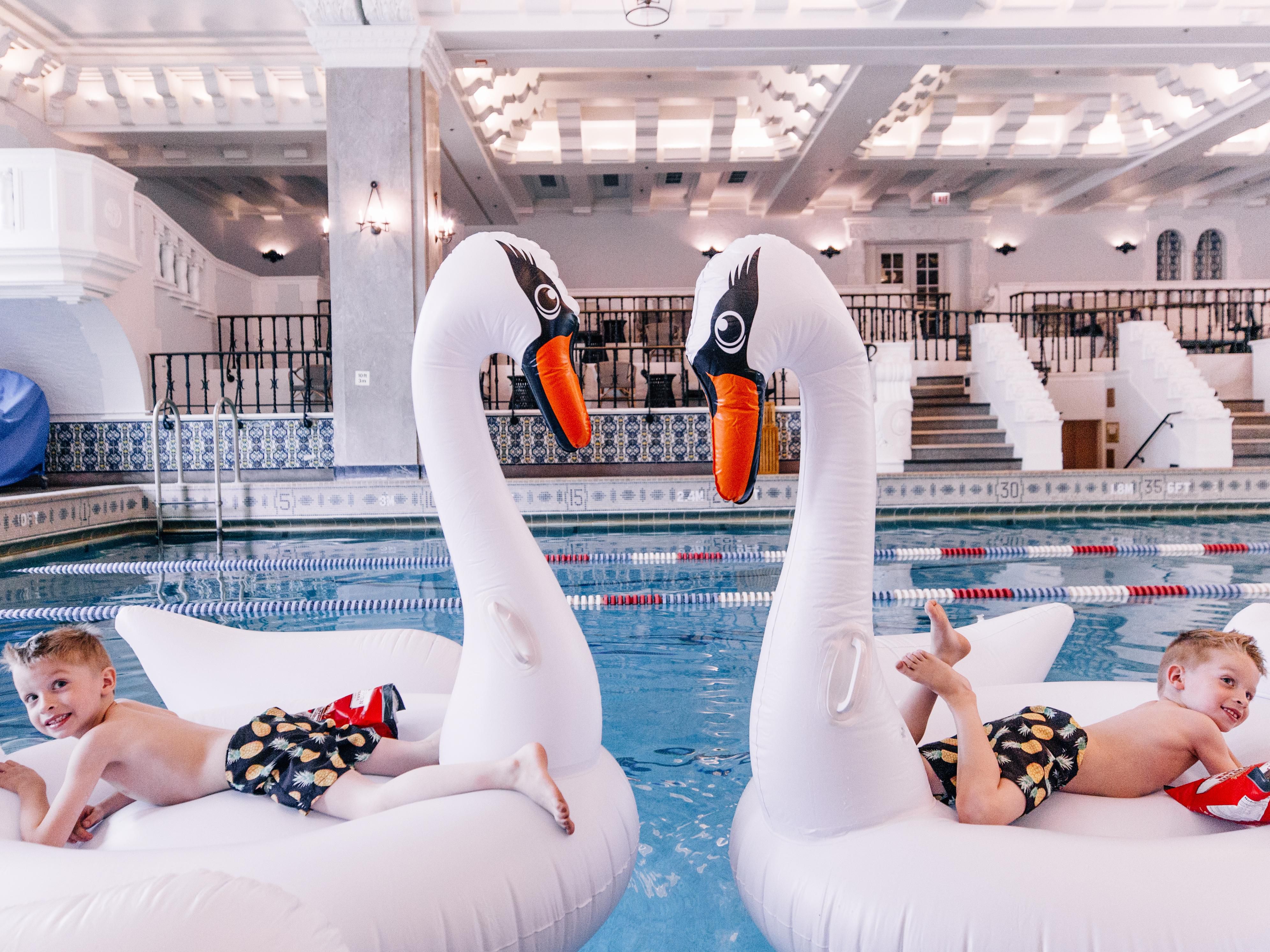 twin boys on swan floatie in pool