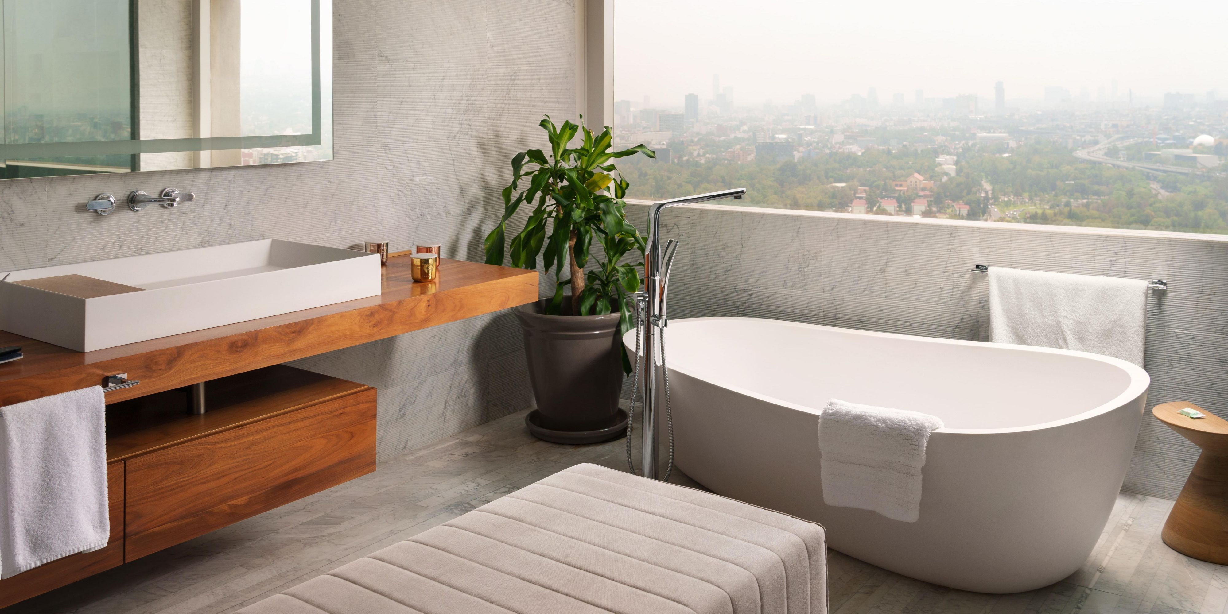 suites in Campos Eliseos- David A Siqueiros