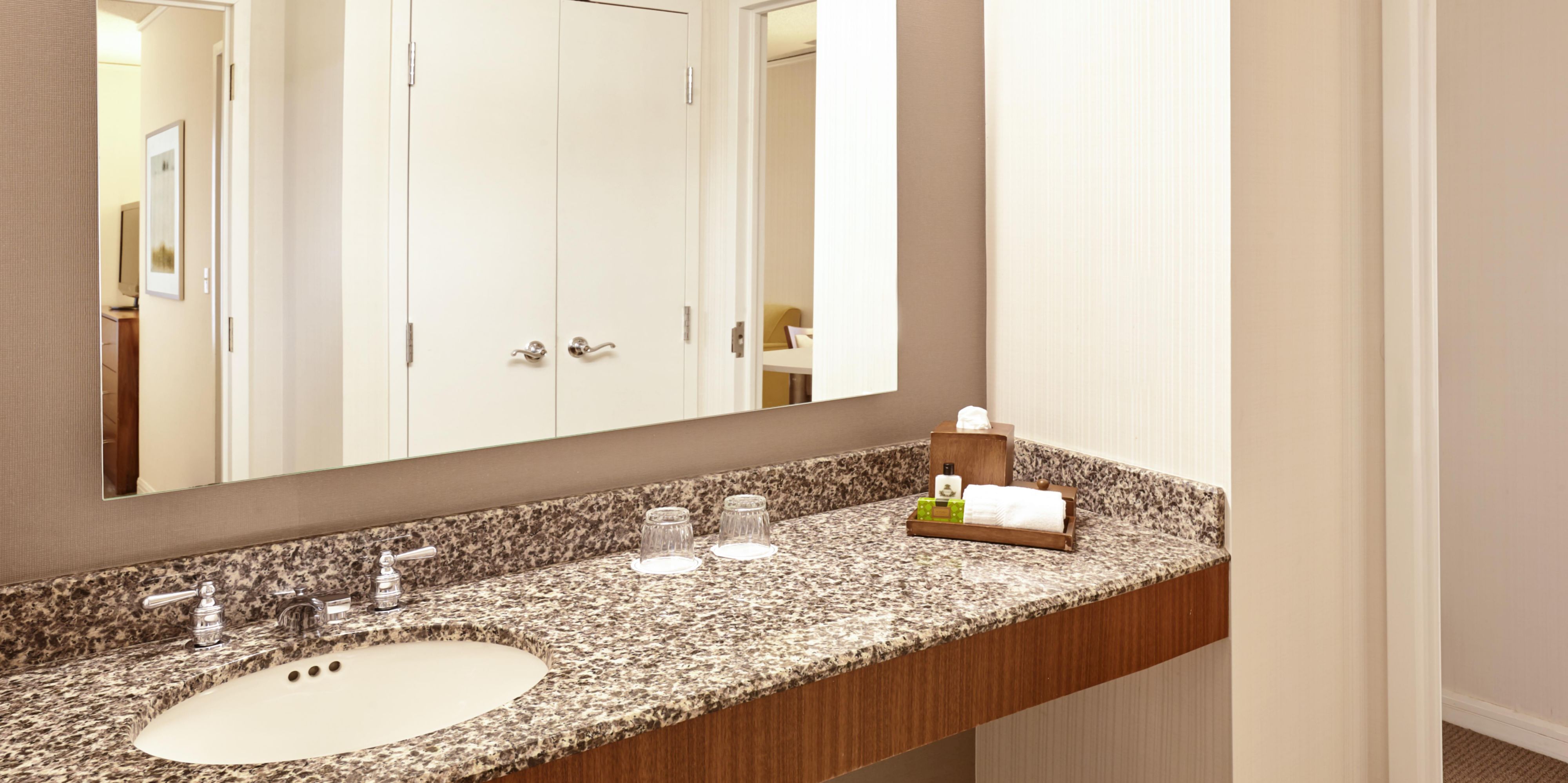 Finely appointment, well lit bathroom with spacious closet