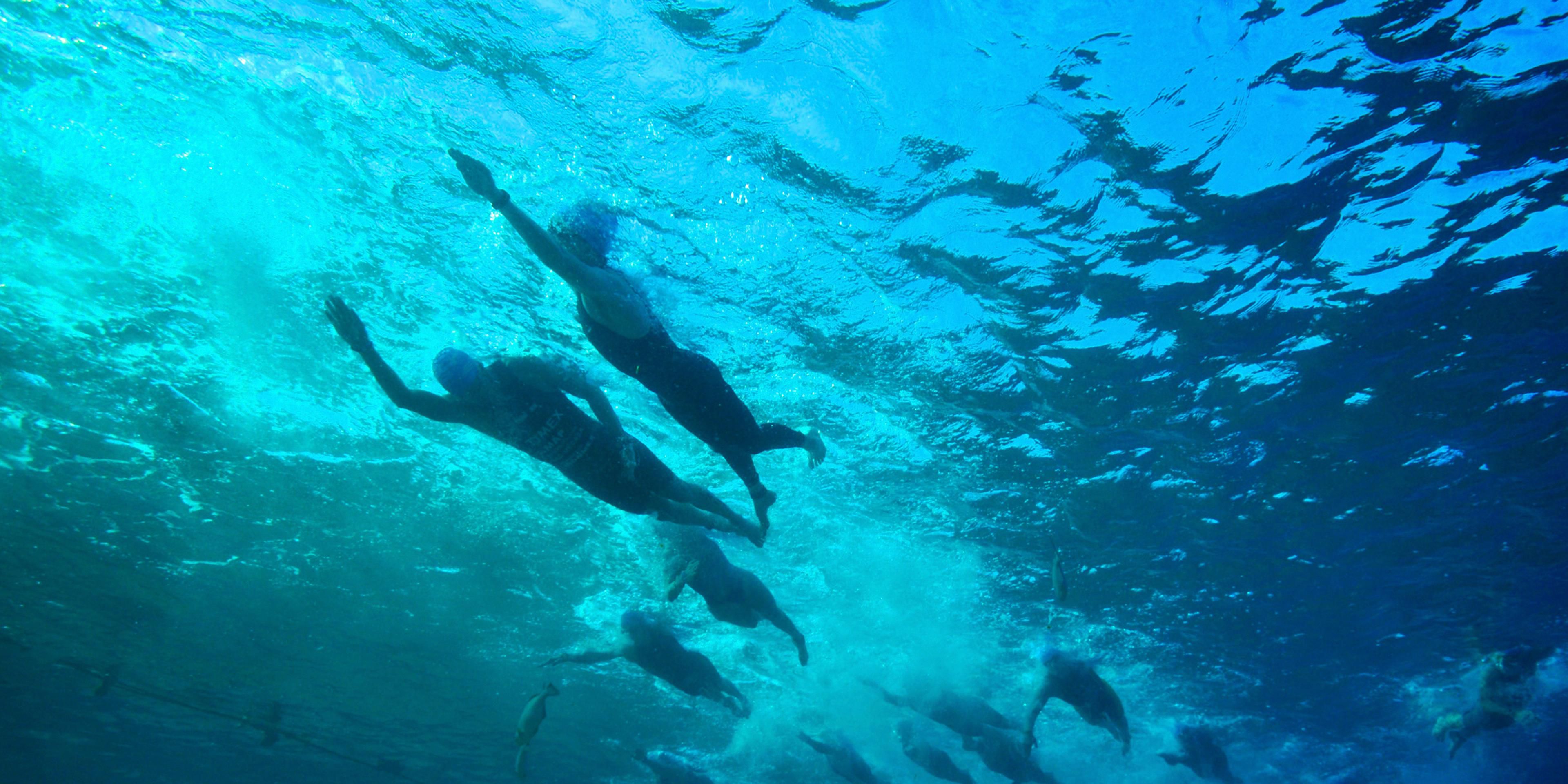 Experience the AsTri Cozumel Triathlon on September 27, 2025 with exclusive rates at Presidente InterContinental Cozumel Resort & Spa. Enjoy complimentary buffet breakfast for 1 or 2 guests. Book now and enjoy top-tier accommodations in Cozumel.