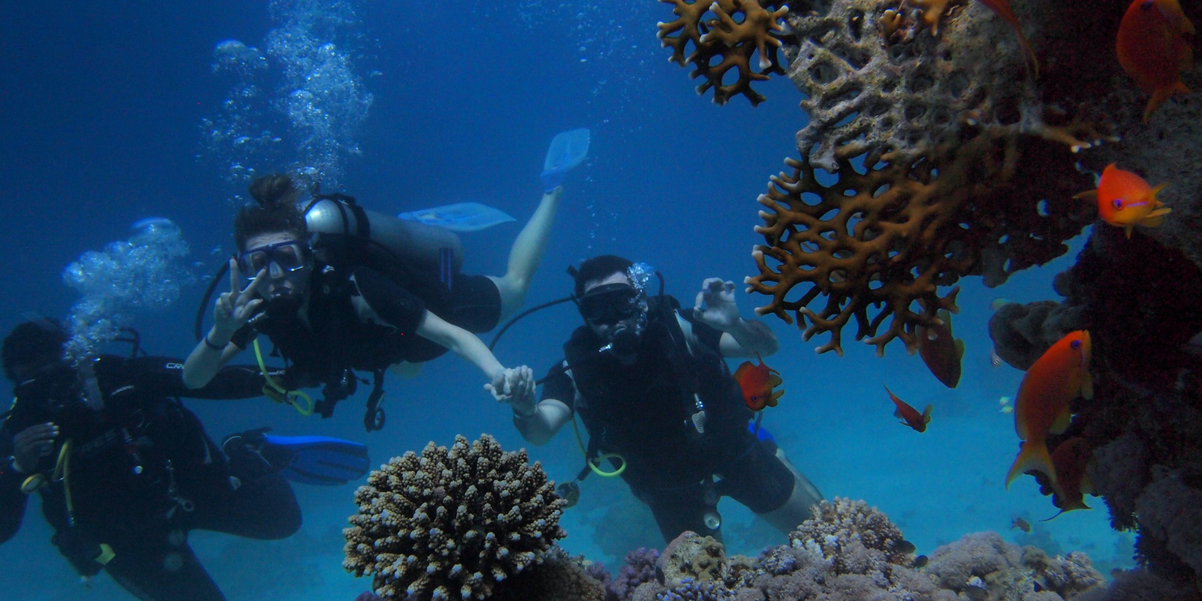Experience world‑class scuba diving in Cozumel with Scuba Du. For 32 years we’ve delivered safe, tailored adventures led by PADI‑certified instructors aboard state‑of‑the‑art boats. Discover dramatic walls, shipwrecks, coral formations and thriving marine life on the planet’s largest reef—live the adventure!