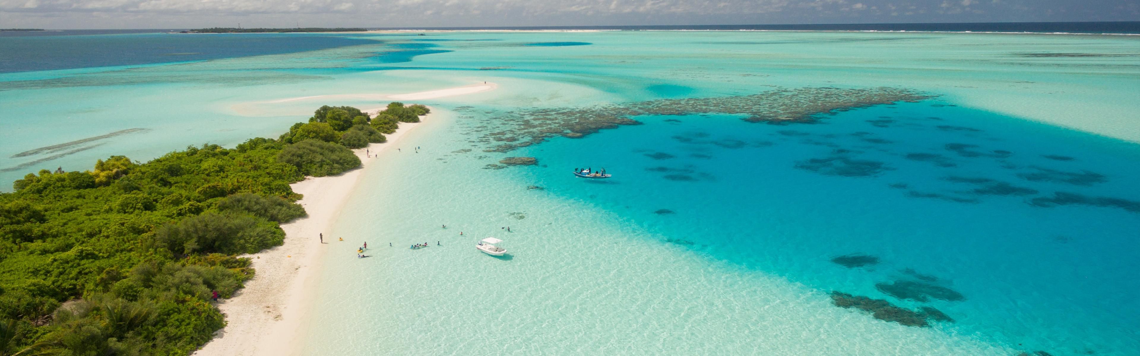 ¡Qué hacer en Cozumel! Visite la Isla de la Pasión