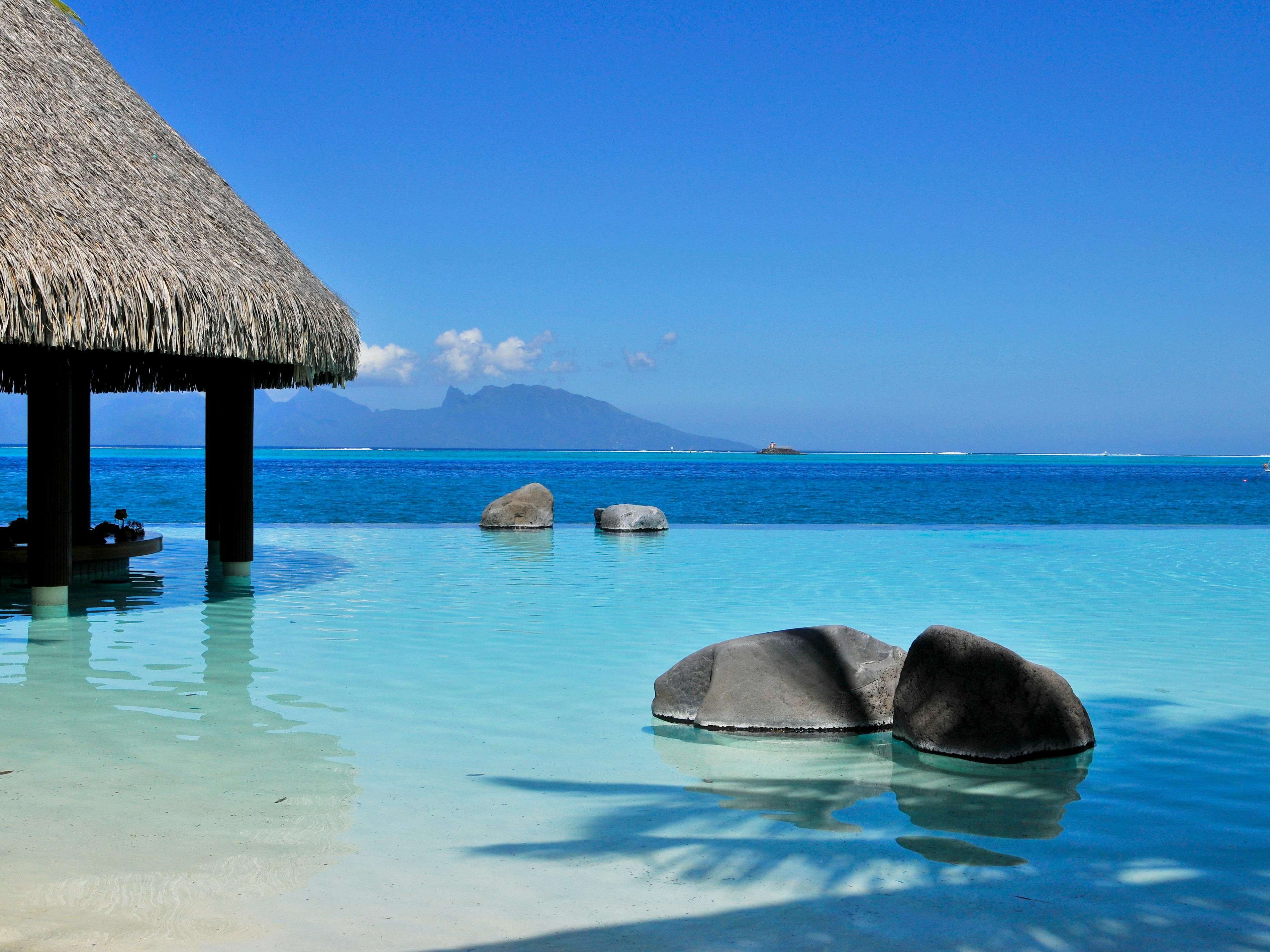 Le Lotus infinity pool and swim-up bar