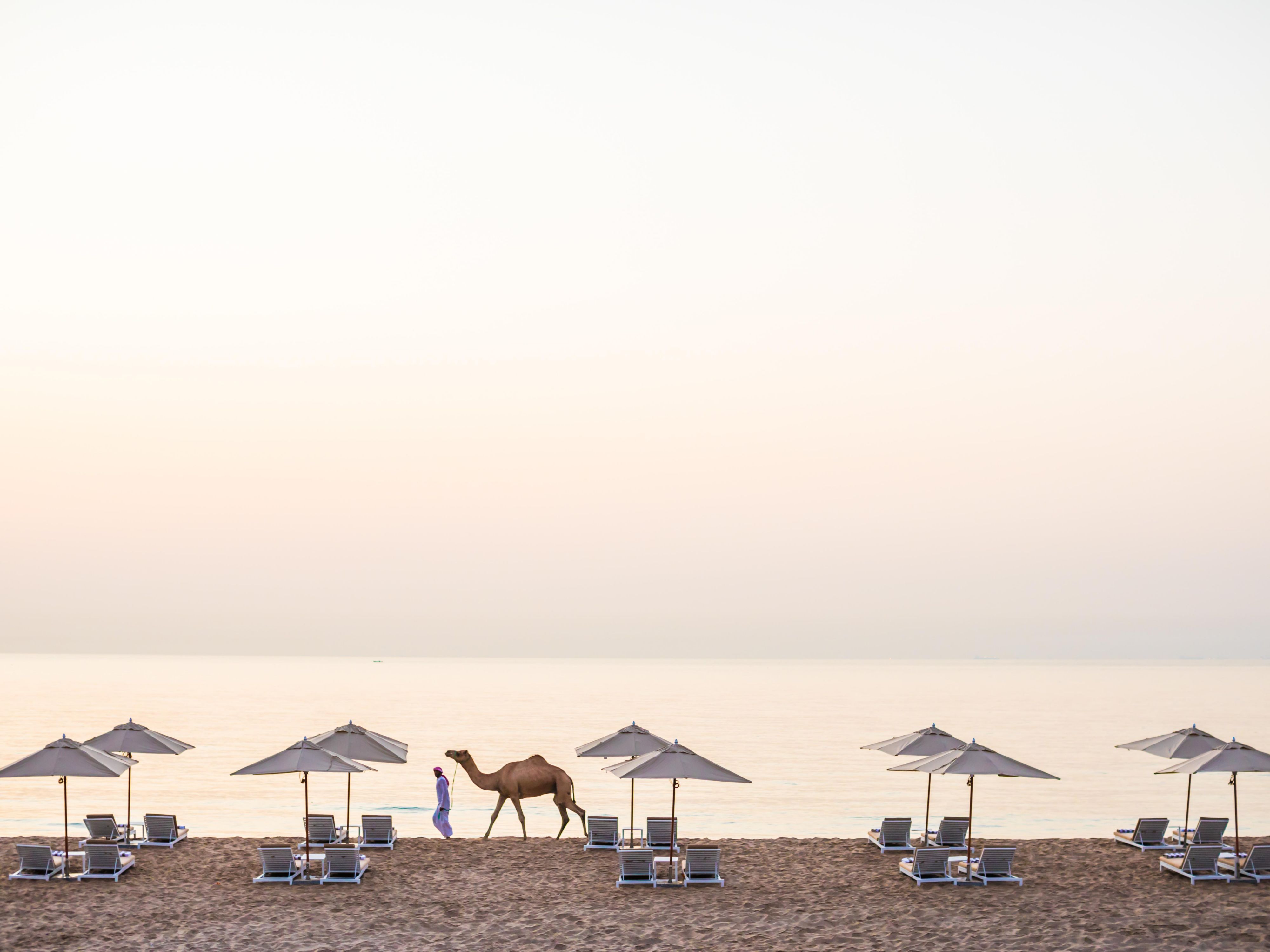 The Private Al Aqah beach at InterContinental Fujairah Resort