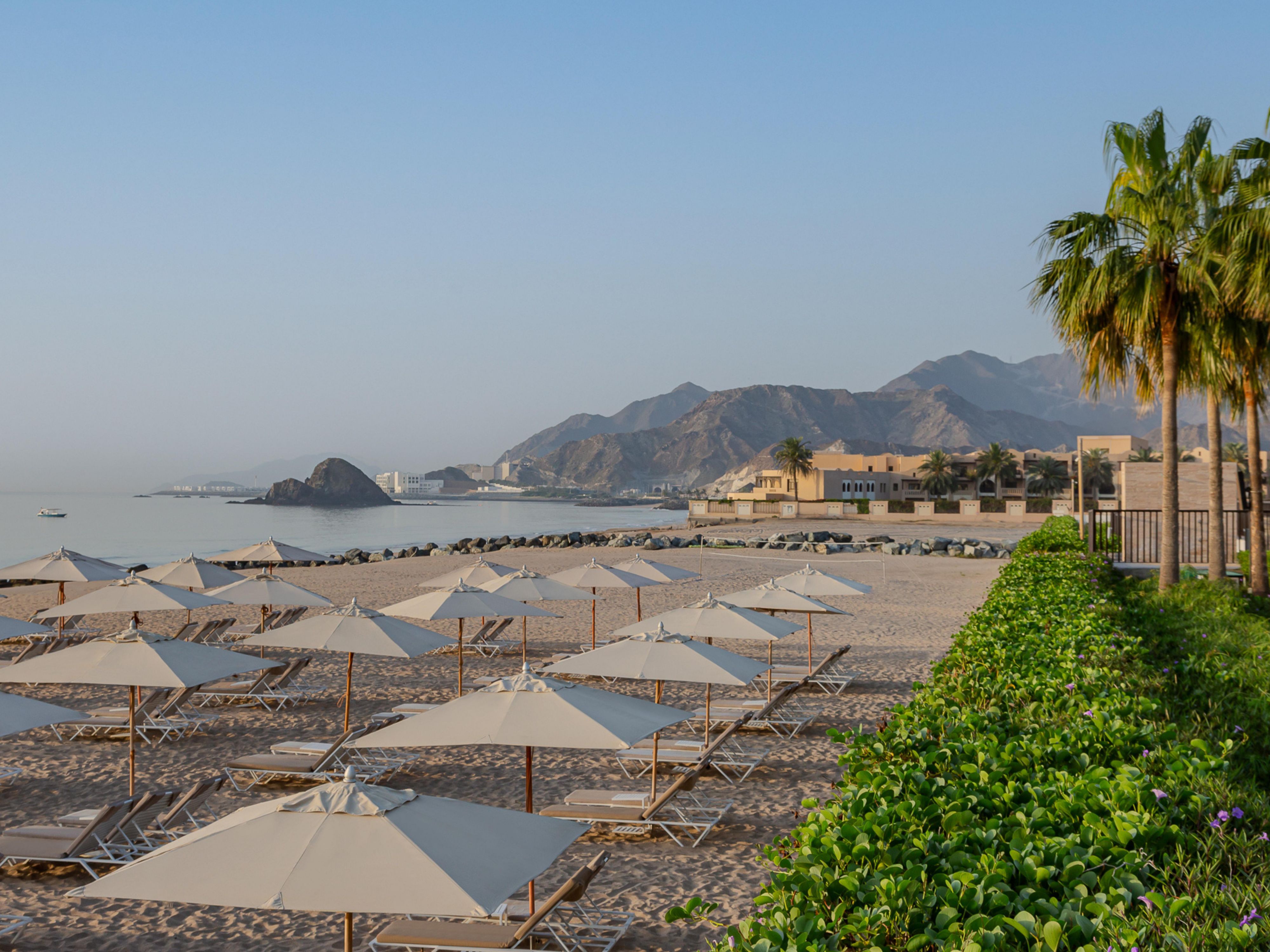 Palm-lined beach with mountain views