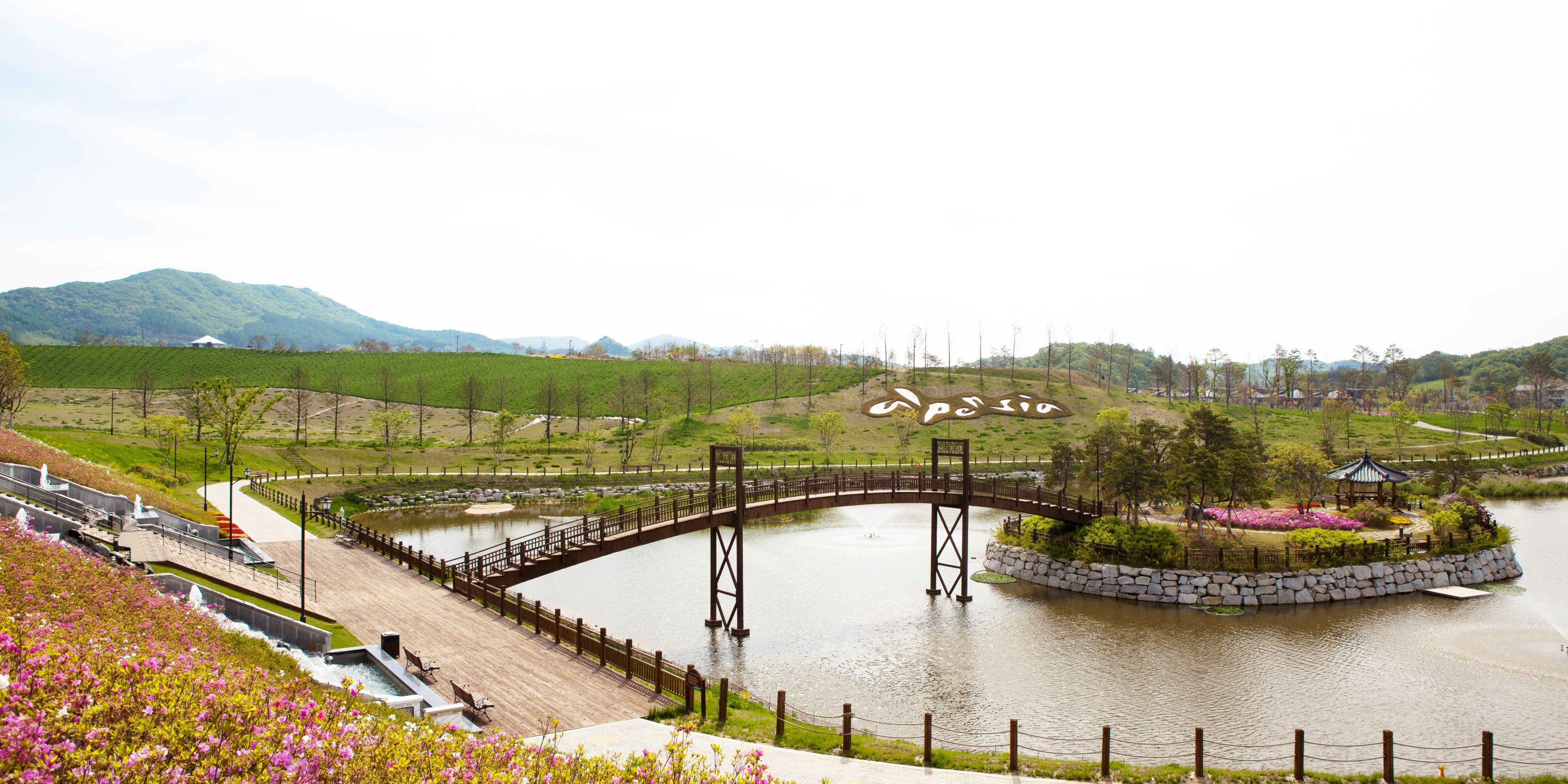 Enjoy walk with fresh air of Ganwon-do, nice Korean feature.