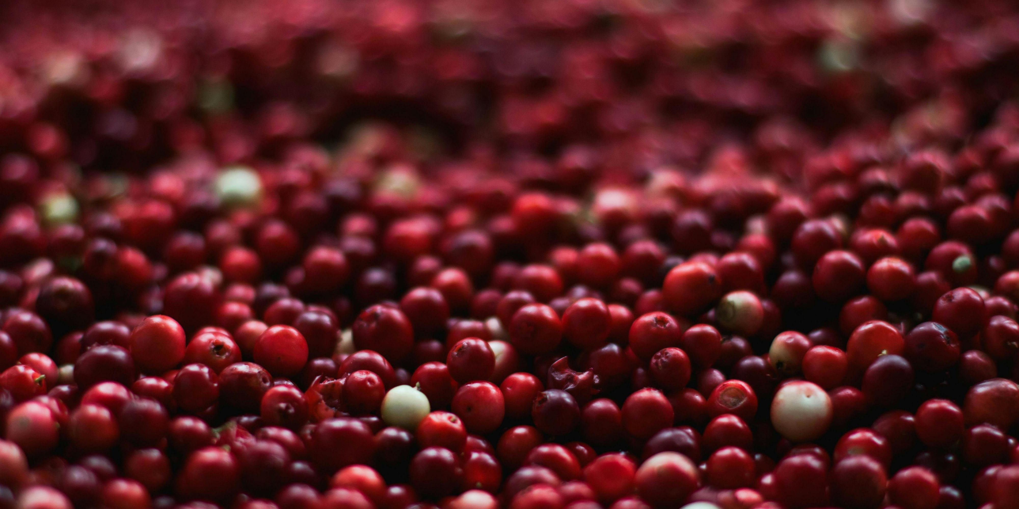 The top event for Mexico’s berry industry takes place July 23–24 at Expo Guadalajara. Enhance your professional experience by staying at Presidente InterContinental Guadalajara, a premier hotel near Expo Guadalajara, and stay focused on what truly matters: growing your business.