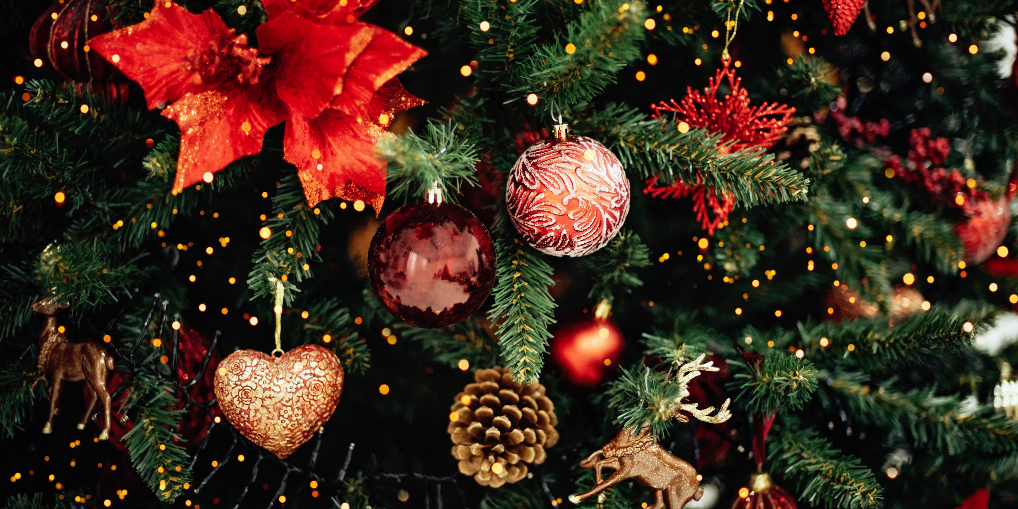 Celebre las fiestas en un ambiente único. Con nosotros encontrará la mejor hospitalidad y un excelente servicio que hará que cada detalle esté lleno de alegría. Lo invitamos a hospedarse con nosotros y vivir una experiencia única durante esta temporada llena de festividades. ¡Le deseamos un excelente Año Nuevo!