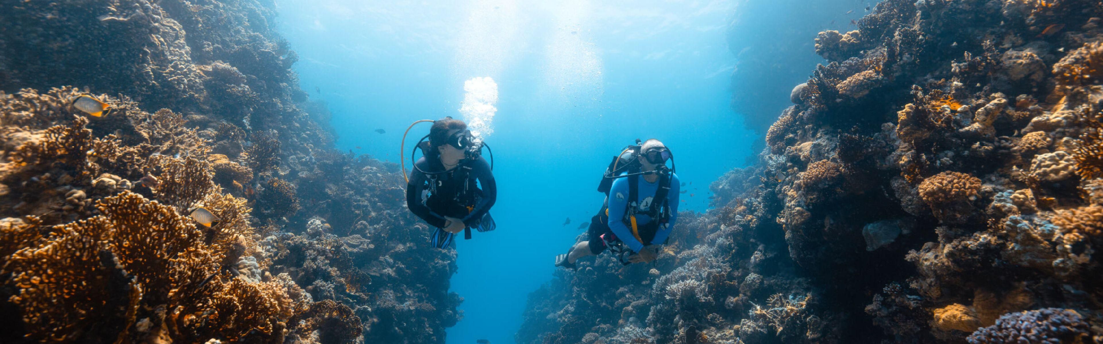 Dive into wonder with Galaxea Red Sea