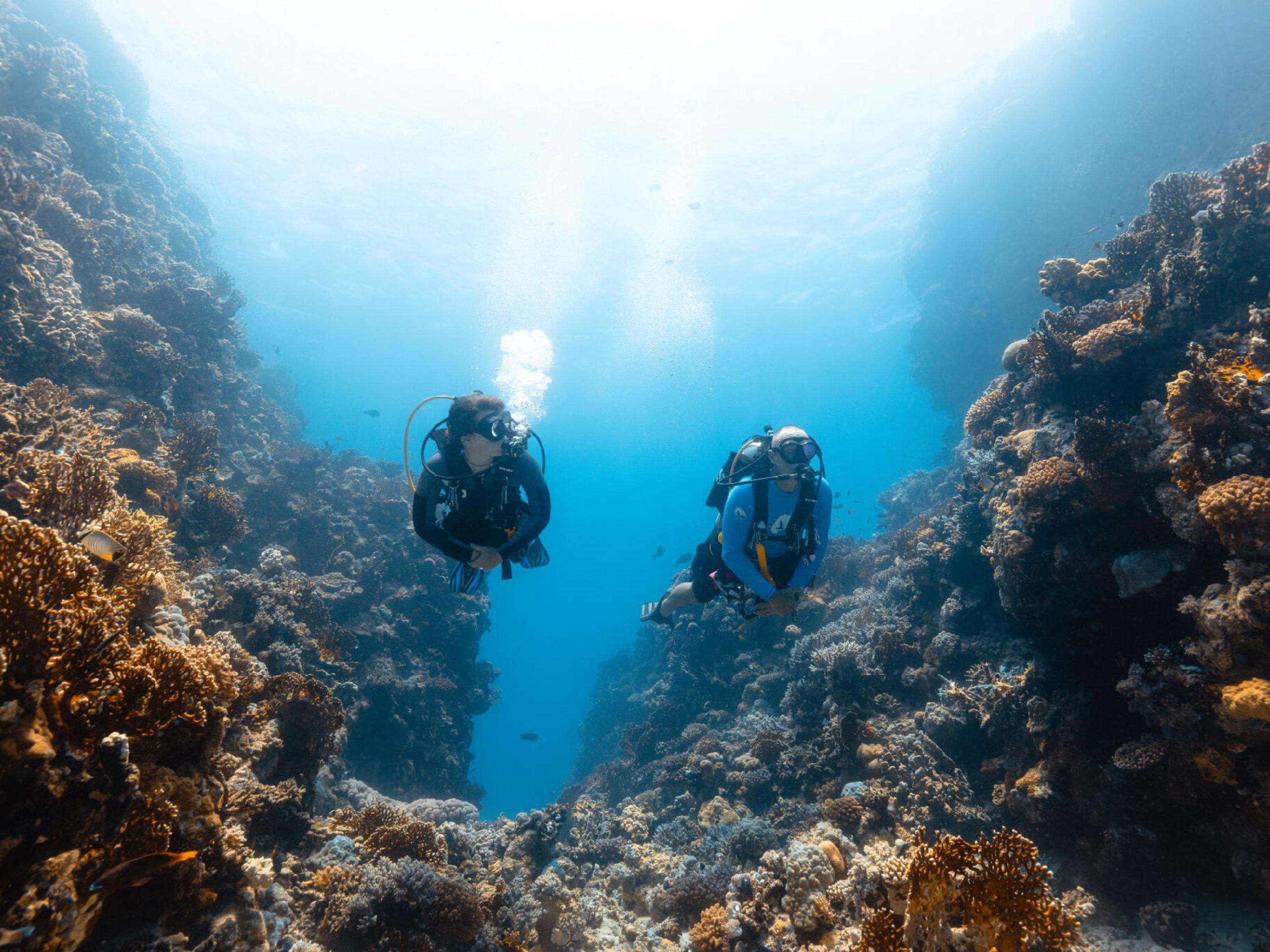 cruise ship in the ocean