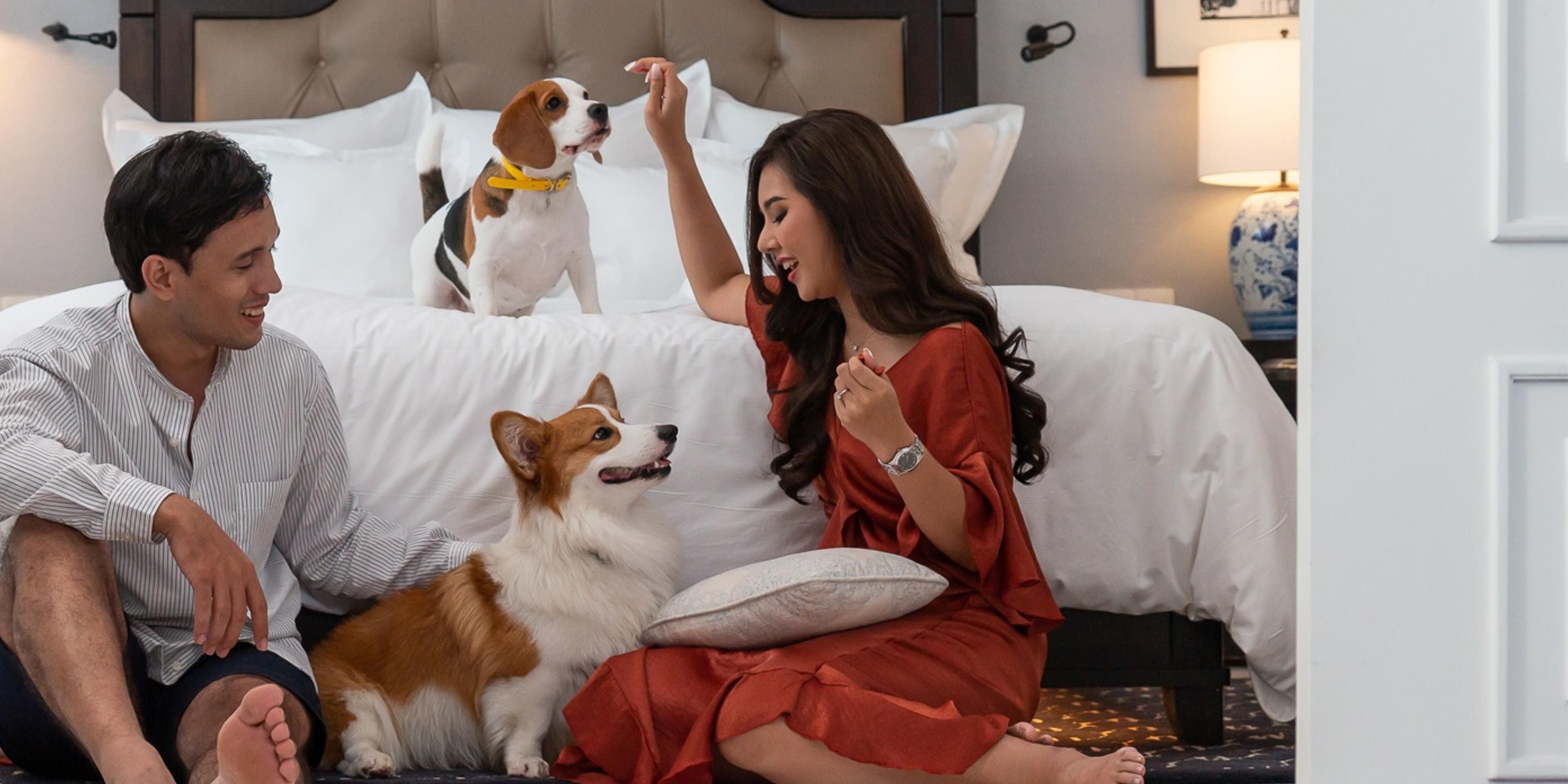 Furry friends welcome. No more making arrangements before a holiday and worrying about your dog while away. Now they can be at your side while you enjoy our most exclusive and luxurious accommodations, featuring lush surrounding grounds, private pool, and private beach access.