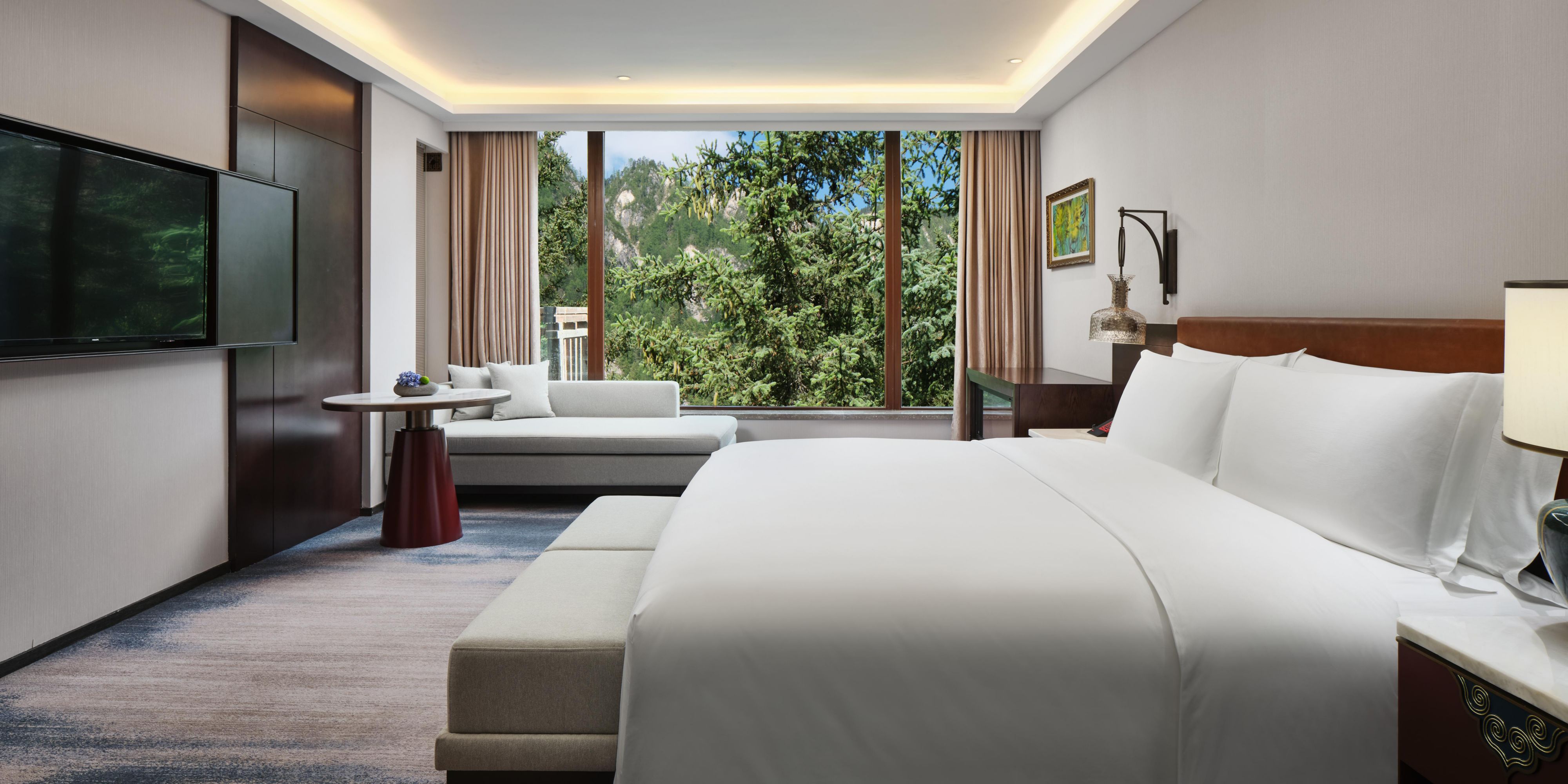 1 King Bed Junior Suite