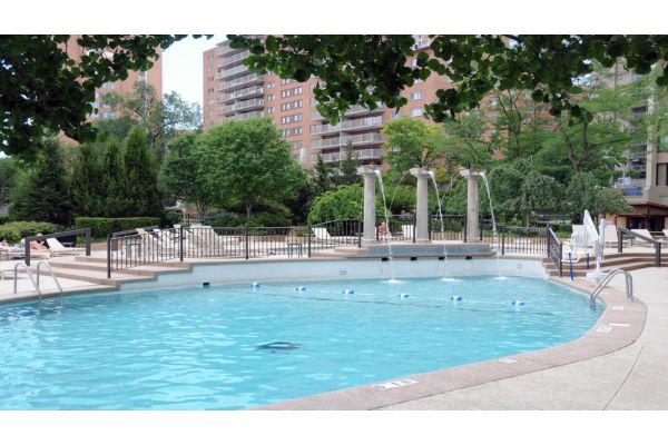 Outdoor hotel swimming pool surrounded by trees and lounge seating