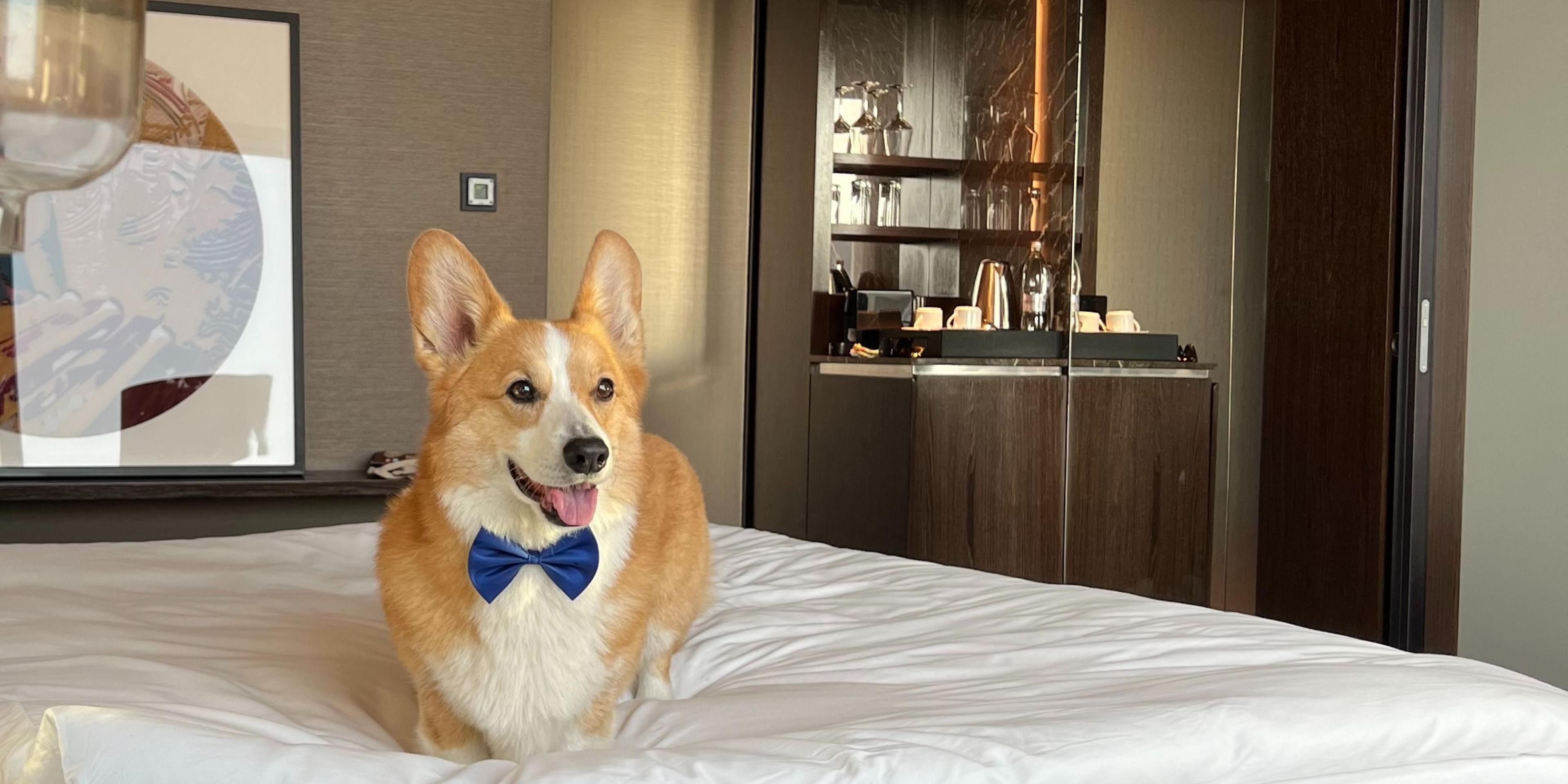 We warmly welcome dogs up to 12 kg in our rooms. A pet fee of 55 EUR per stay applies. Only guide dogs are permitted in the restaurant and bar. For dogs over 12 kg, please contact our hotel reservations team.