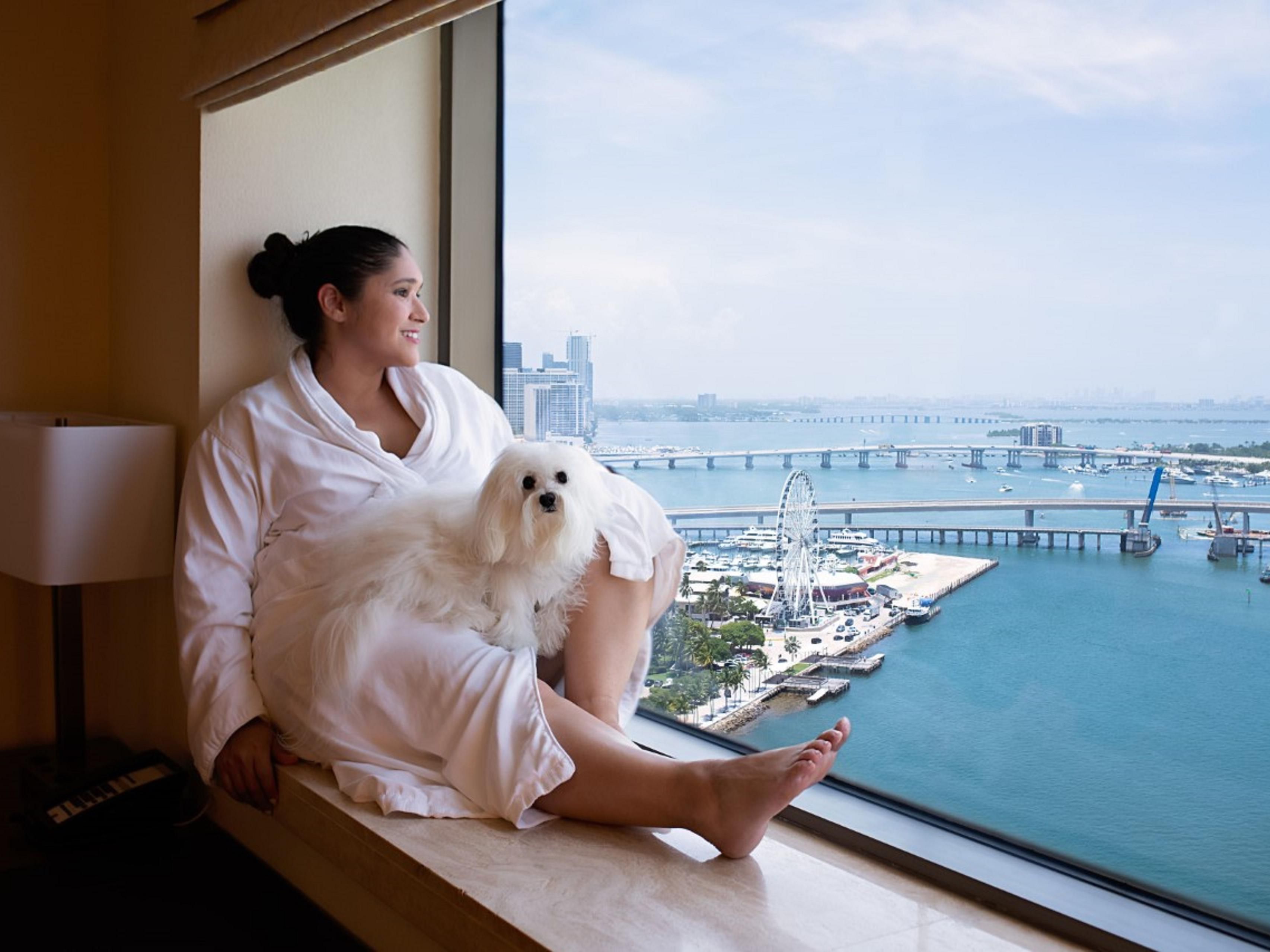 Pet Getaway!