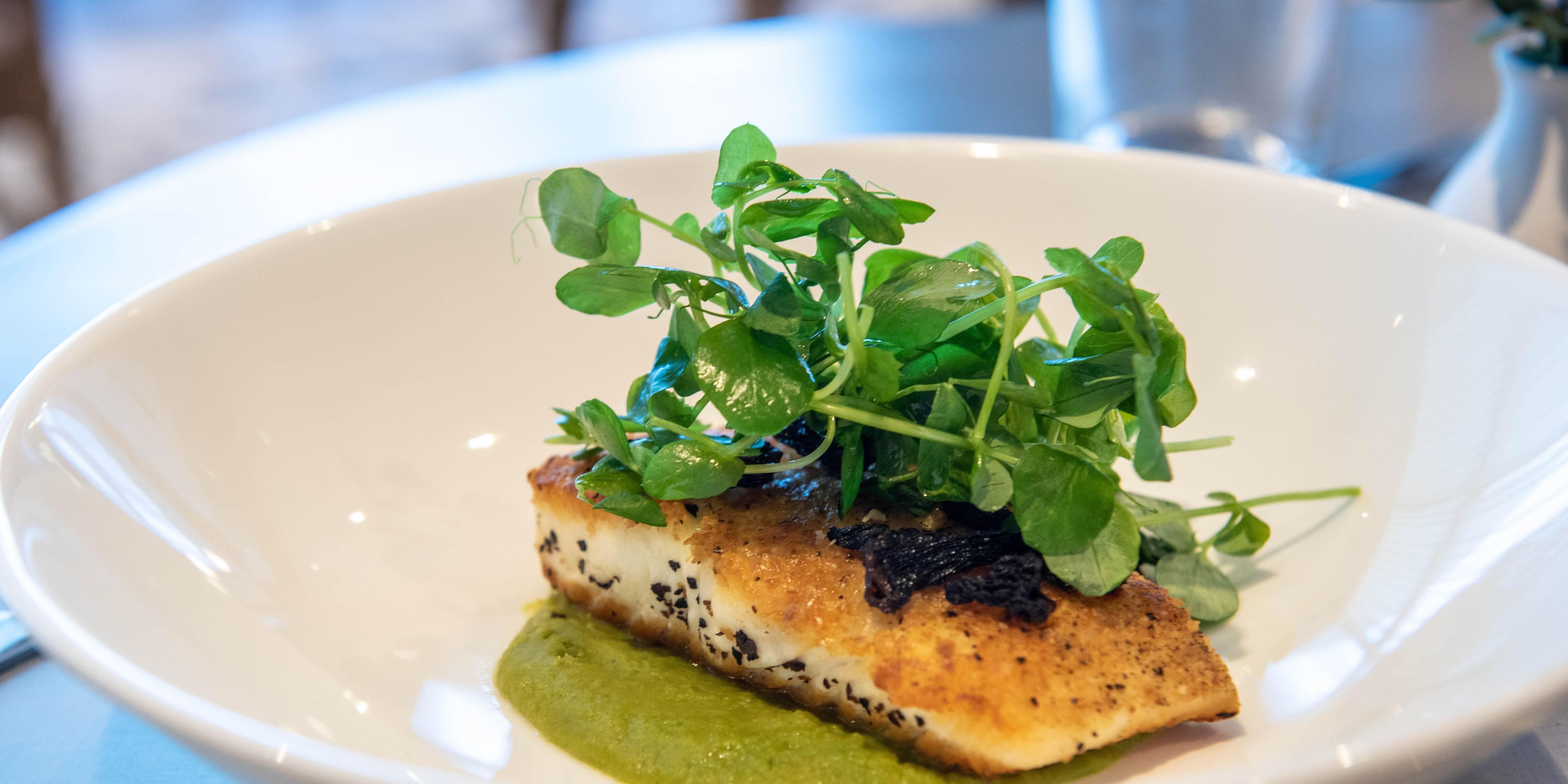 Seasonal, chef-crafted menus featuring locally inspired dishes and elevated presentations.
