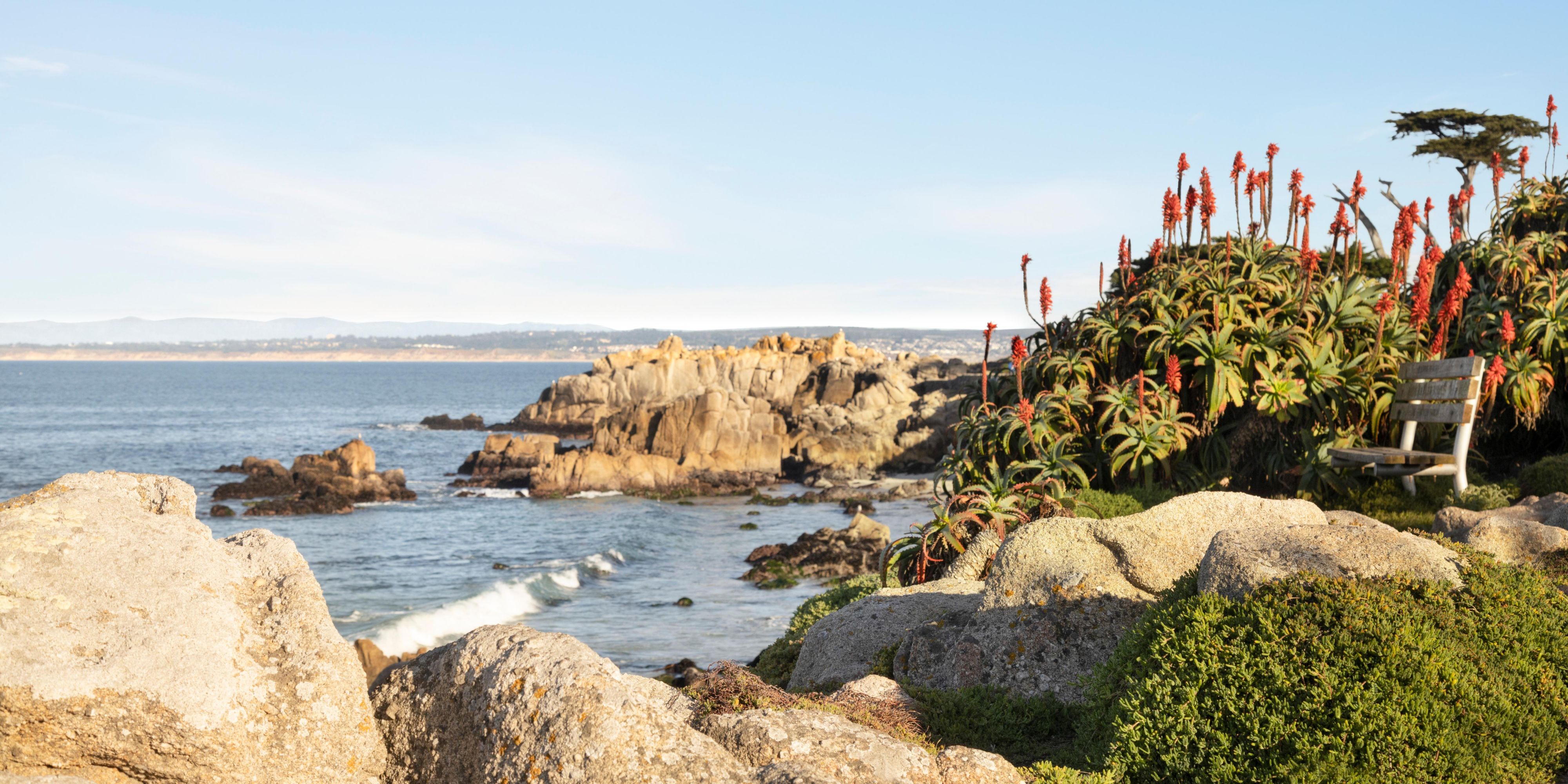 Monterey County is a premier destination for outdoor enthusiasts. Biking, hiking, boating, hang gliding, and animal watching are just a few of the activities you can enjoy here. Whether you want to watch the whales or climb a mountain, walk the Recreation Trail or dive the depths, there is no more spectacular place to enjoy the outdoors. 