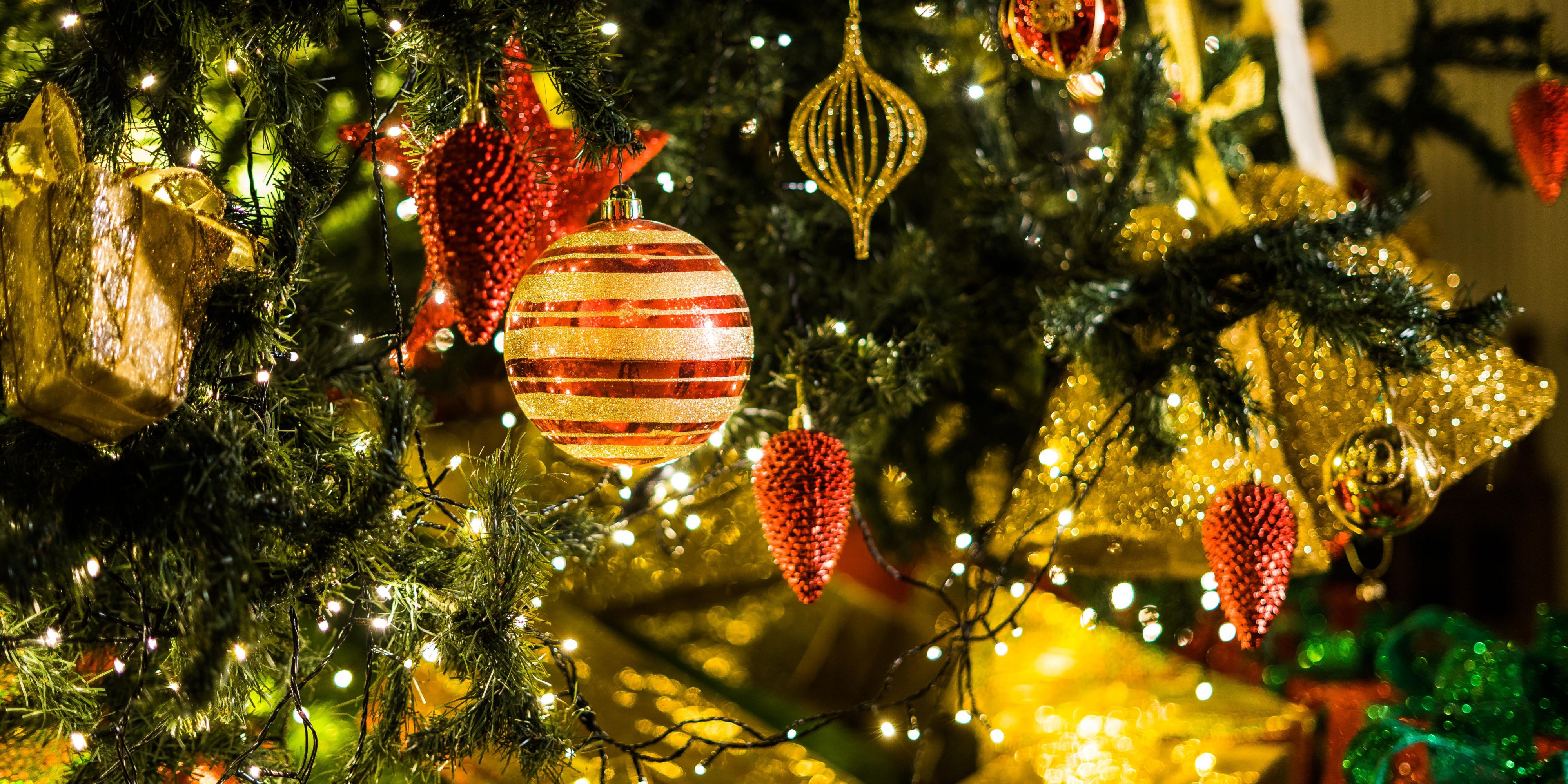 Enjoy an Elevated Christmas Eve Buffet with gourmet dishes and soft drinks, or enhance the evening with fine alcoholic beverages. On Christmas Day, savor our Garden Christmas Brunch with live music, on the terrace overlooking the Palm Garden or or choose the cozy elegance of indoor dining.