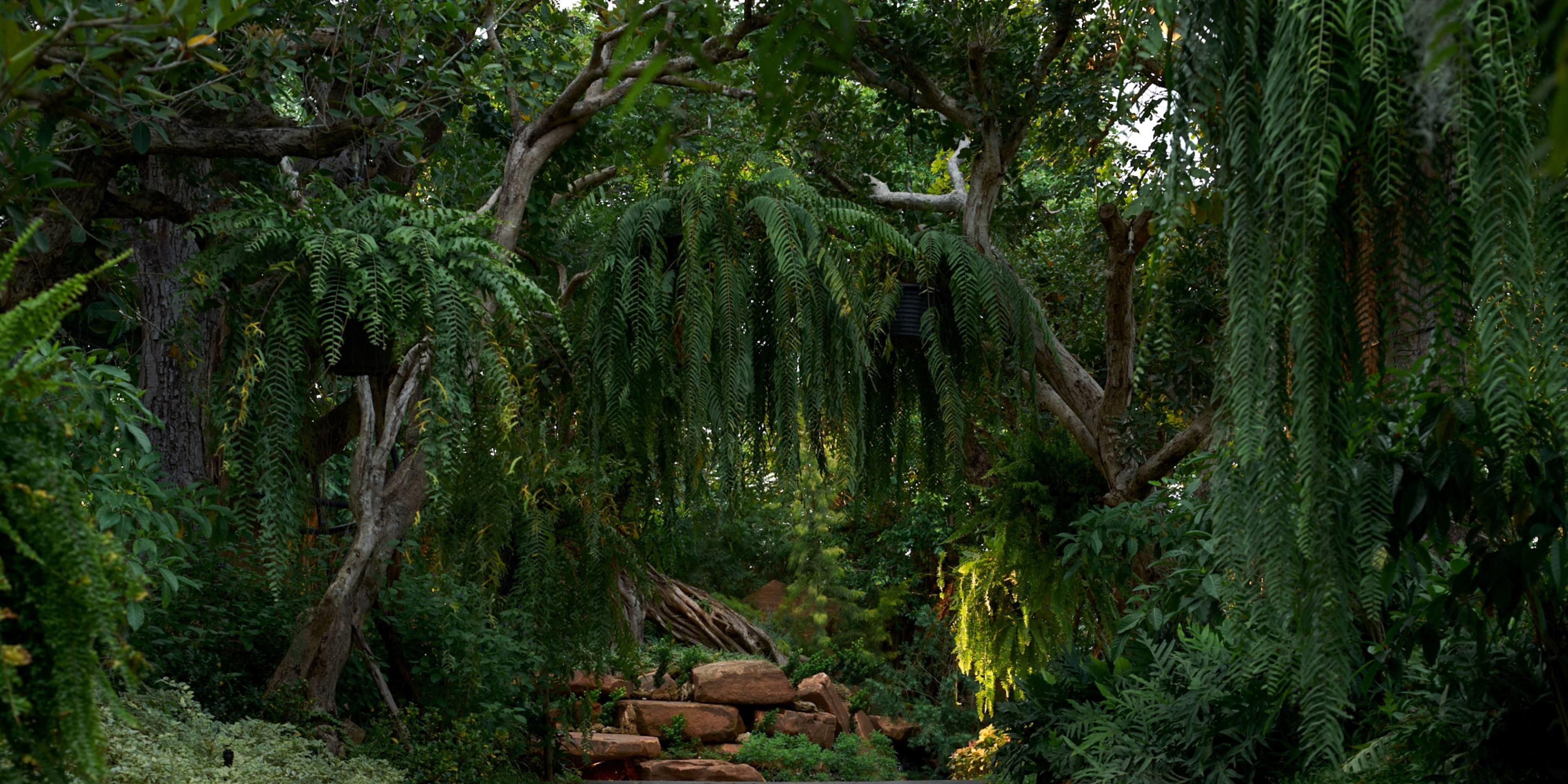 hightLightsImages
