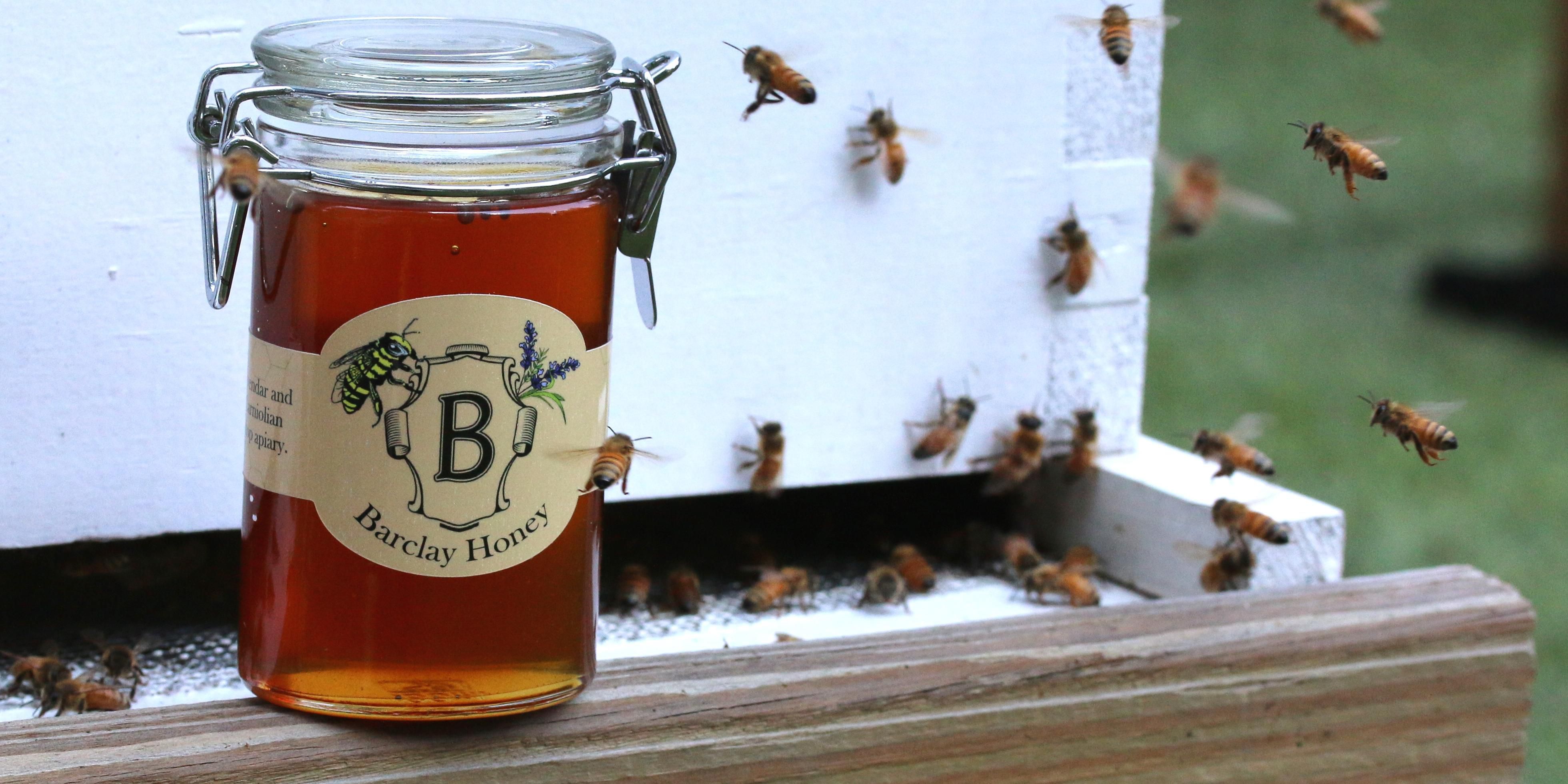 We have numerous initiatives focused on sustainable food and beverage, including our rooftop garden and beehives. Food and drinks are crafted with our in-house ingredients in mind, and we proudly serve organic products sourced locally within 350 miles of New York City.