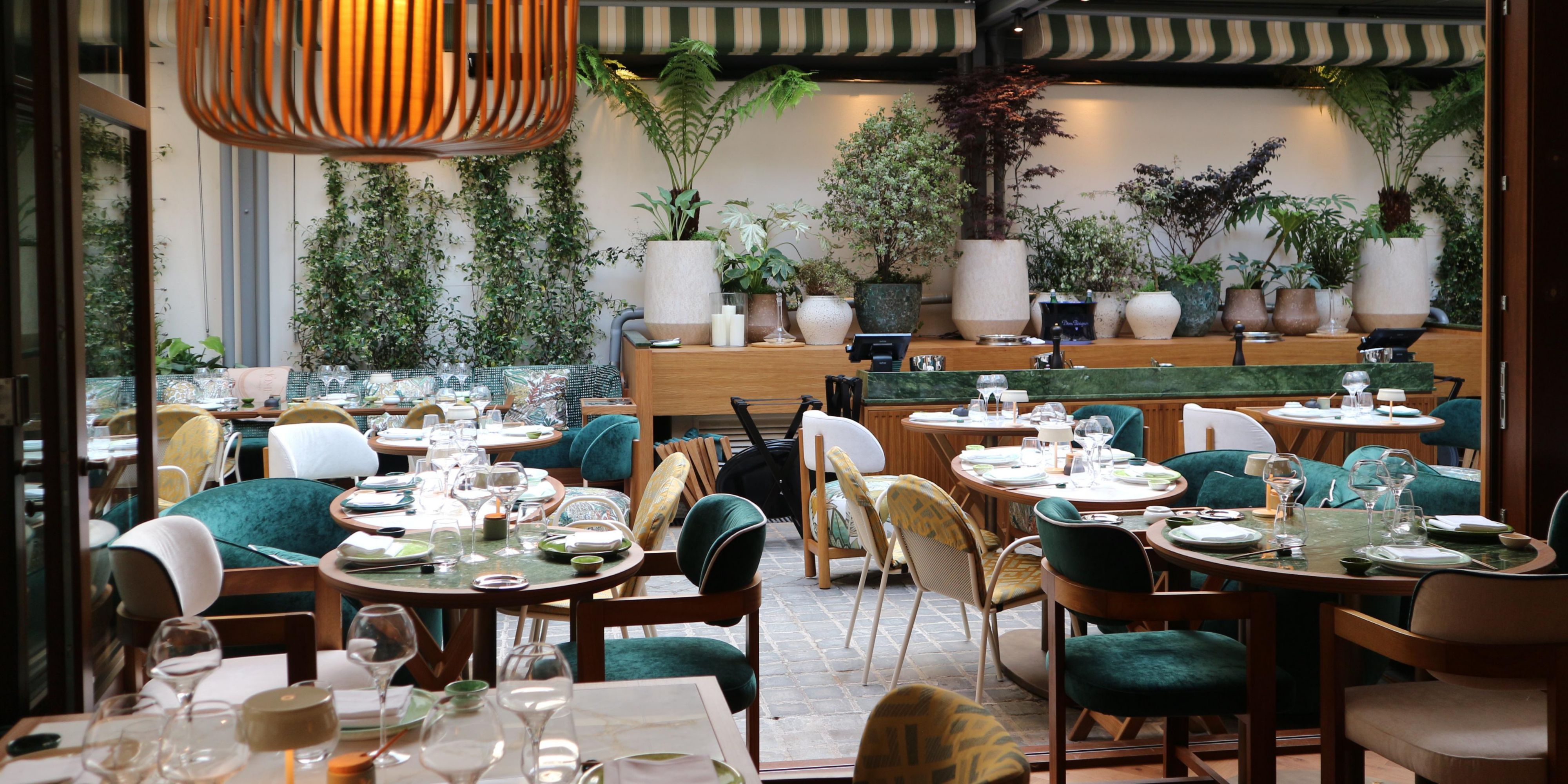 Step into Mido Paris, our Nikkei fusion restaurant. A chic, intimate atmosphere awaits. Take a virtual tour and experience the space from wherever you are.