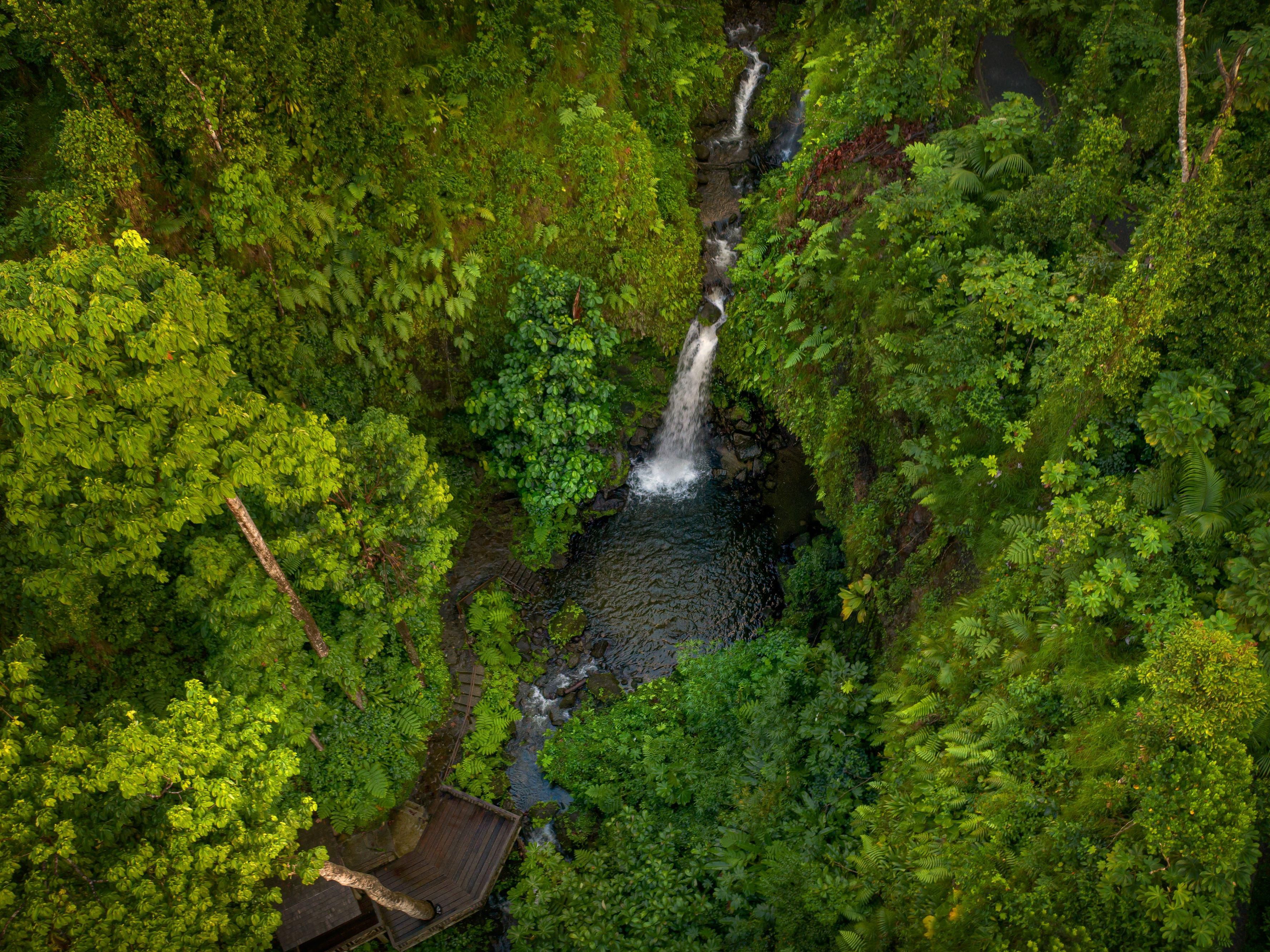 Hike to the falls