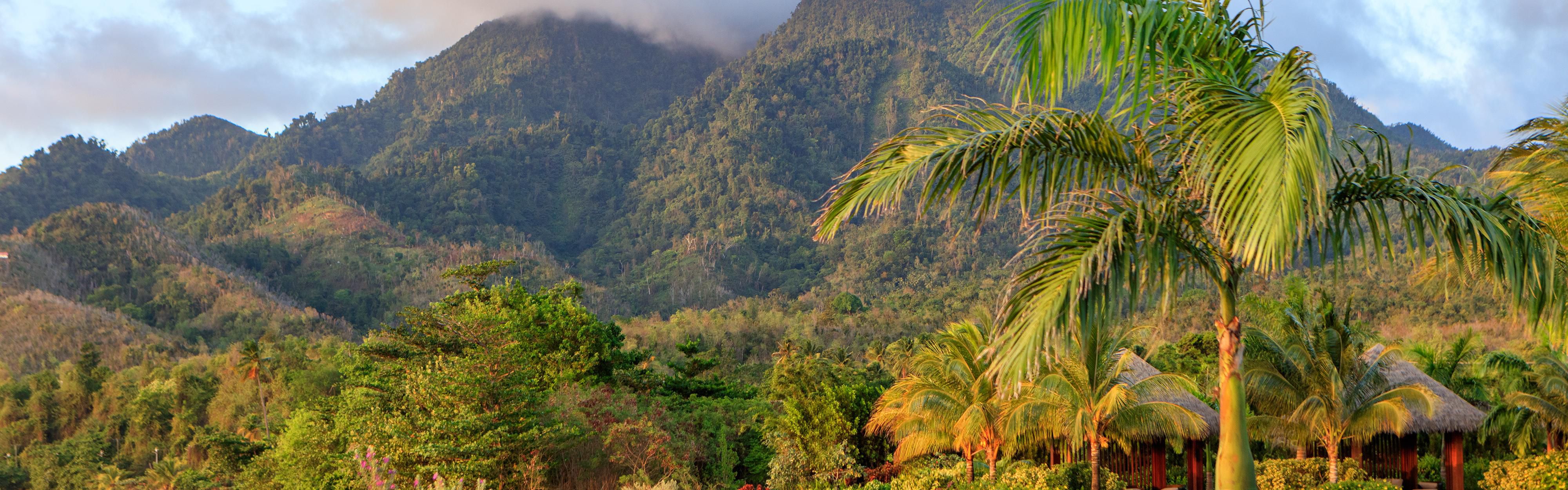 Take a walk through the property and enjoy all the gorgeous view.