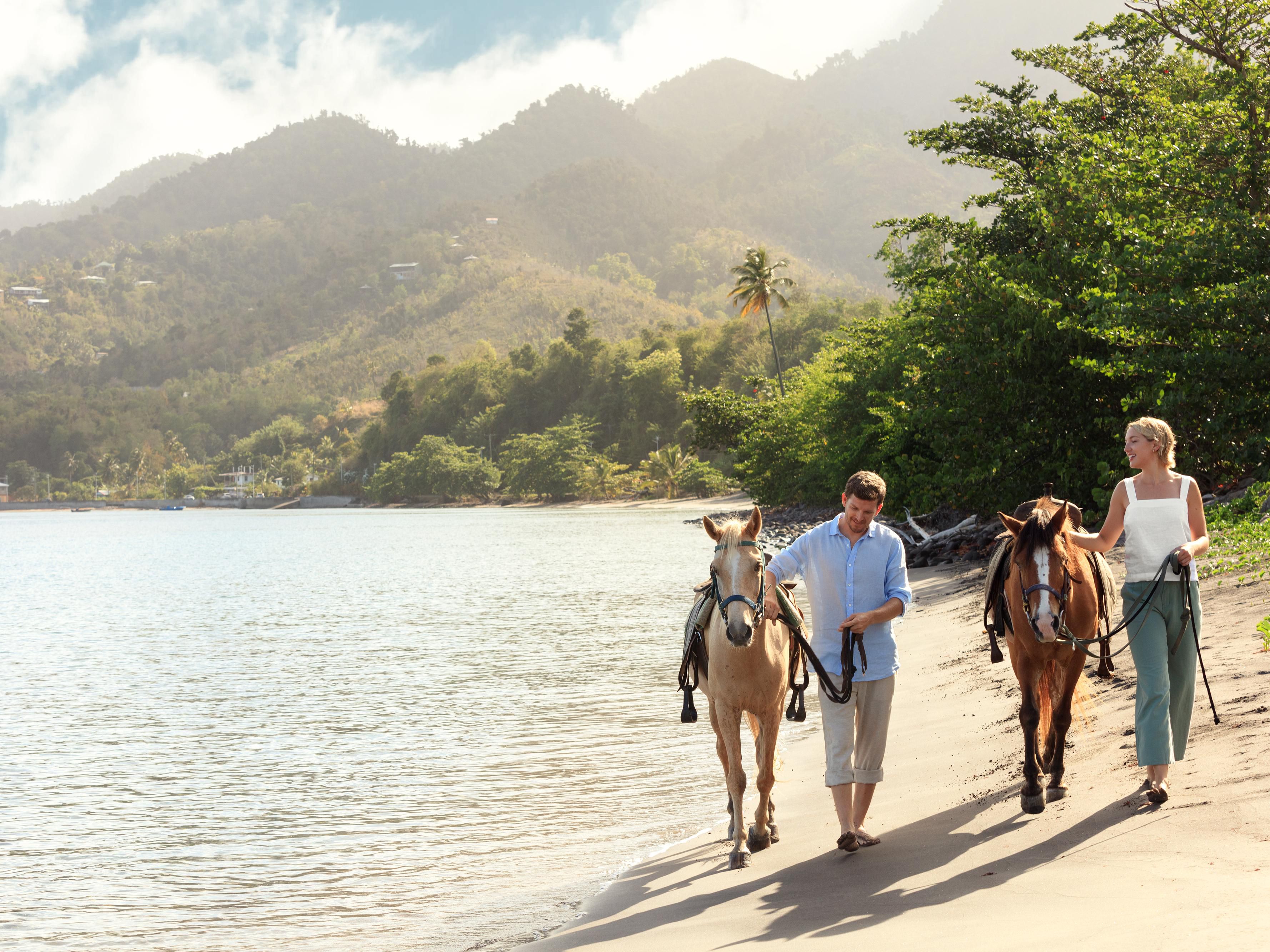 Horseback ride along the beach in Dominica.