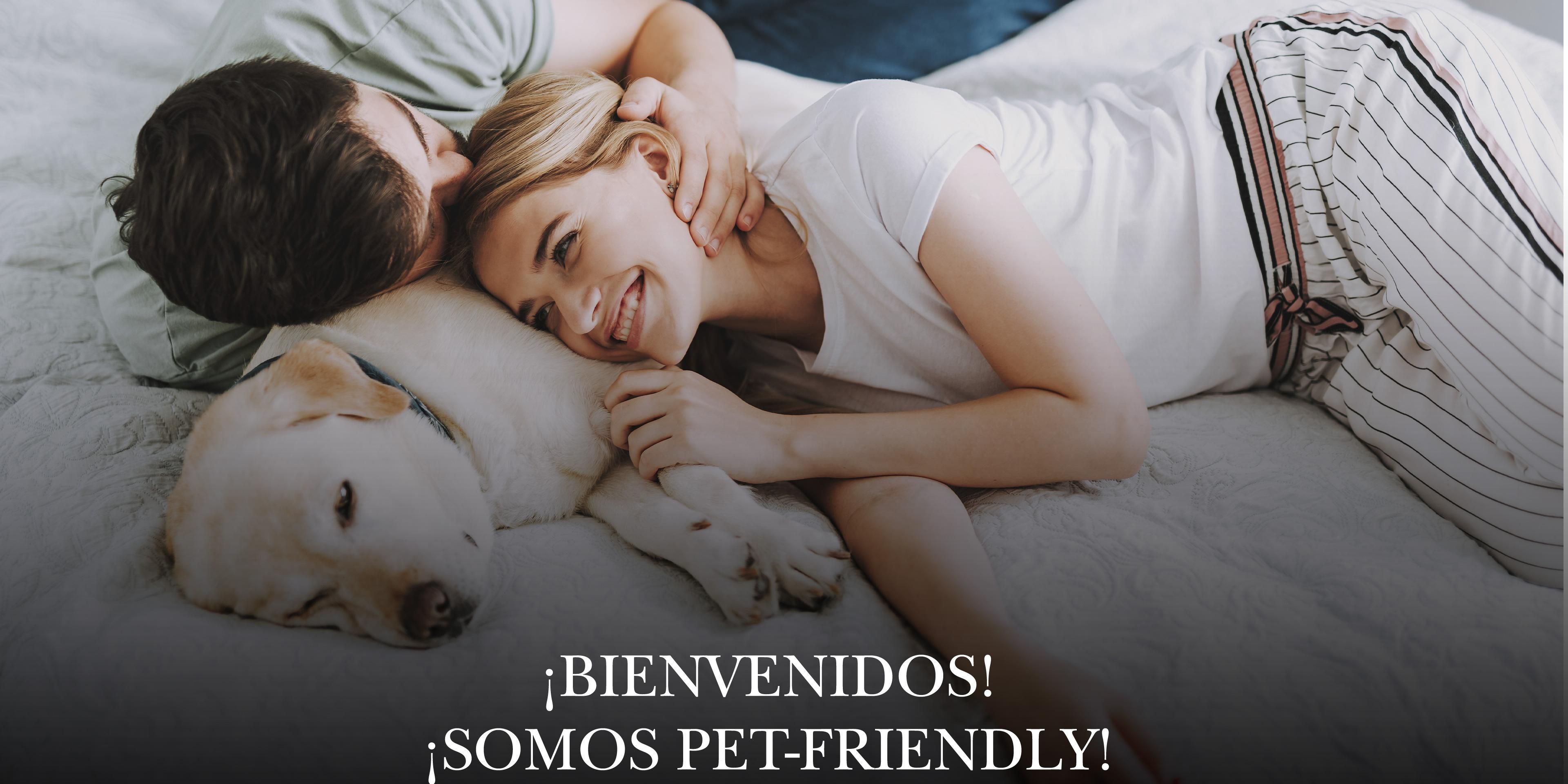 Enjoy an exceptional experience in our Puebla city hotel, where both you and your pet will be taken care of with great dedication. Our spacious and comfortable rooms are specially designed for your comfort. Discover the historic charm of Puebla and create unforgettable moments with your faithful friend.