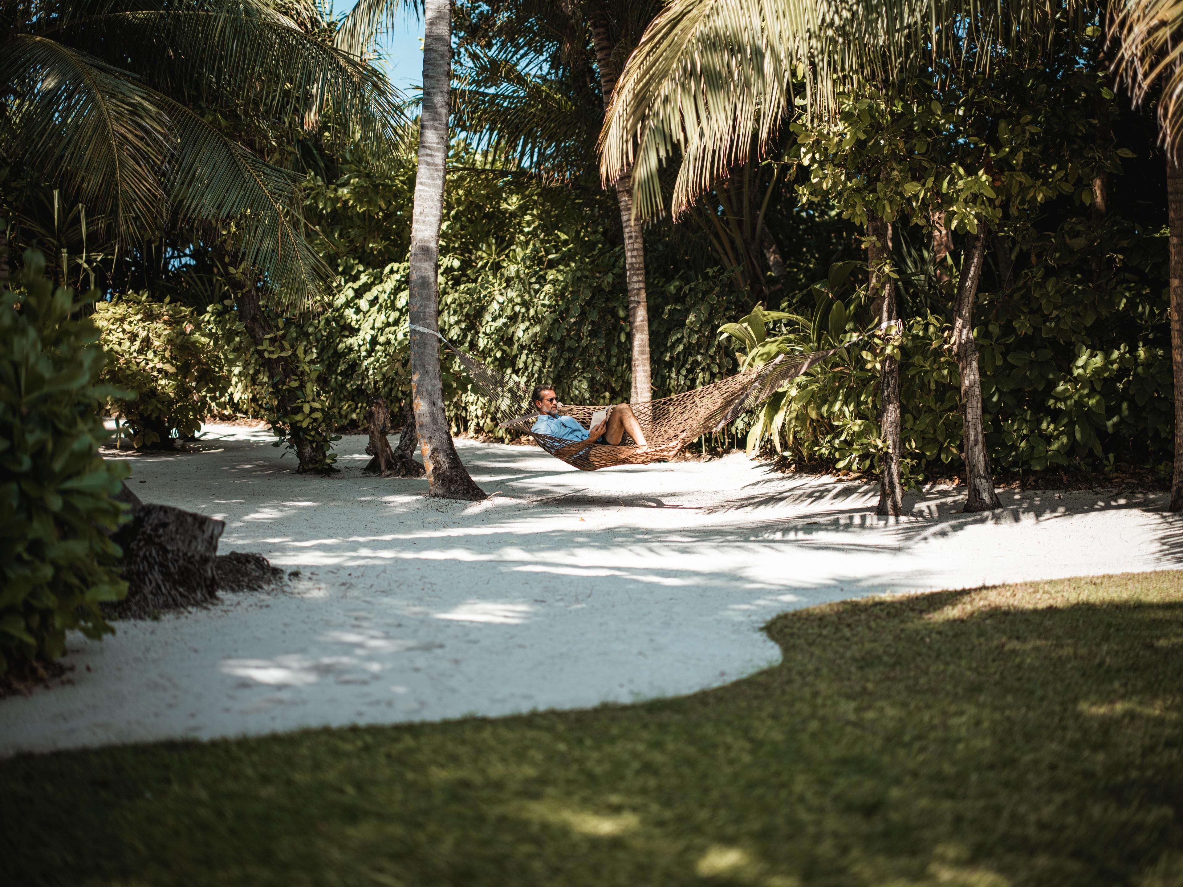 Tropical Island Path Surrounded by Lush Nature