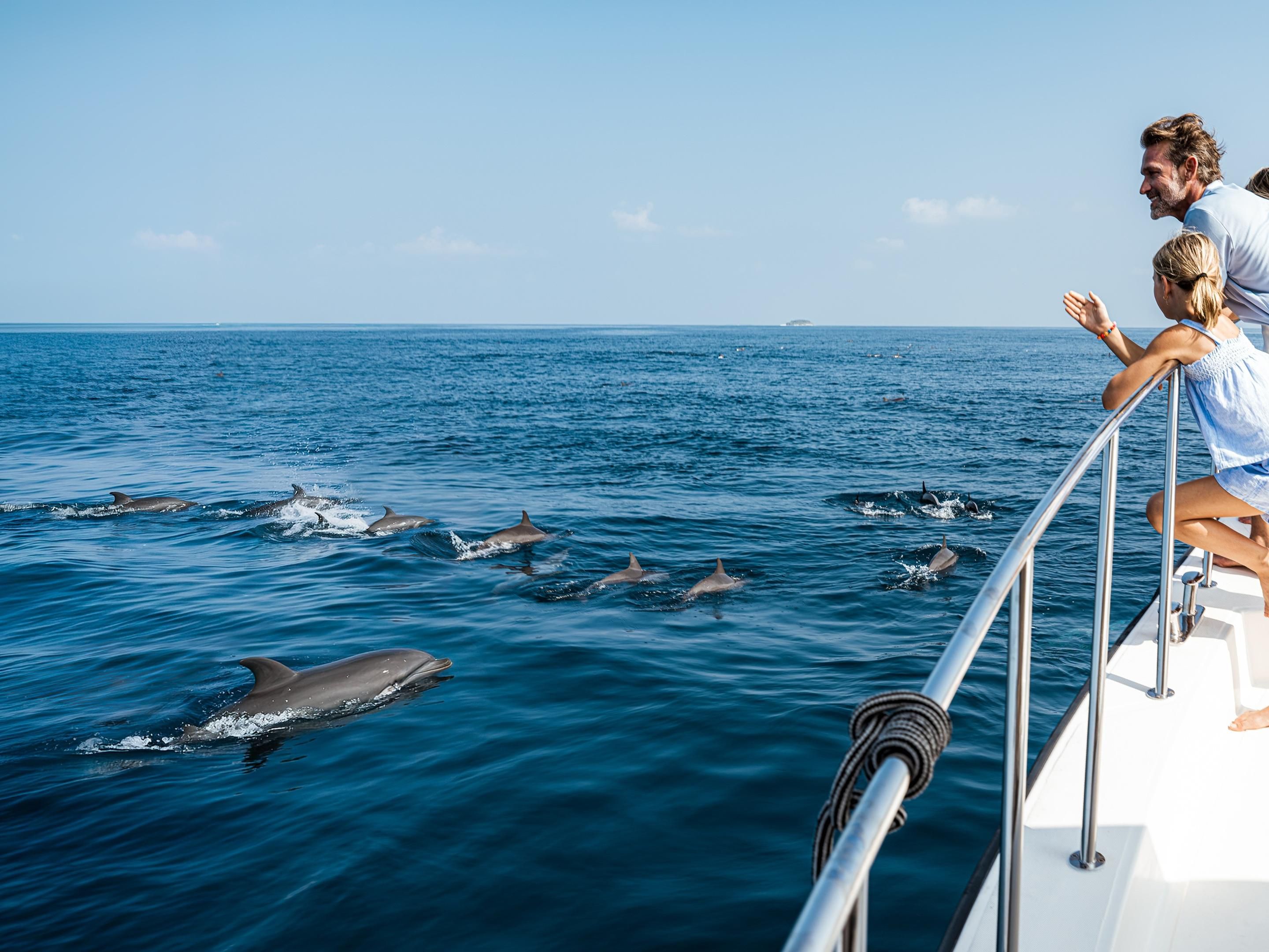 Dolphin Watching Experience at InterContinental Maldives