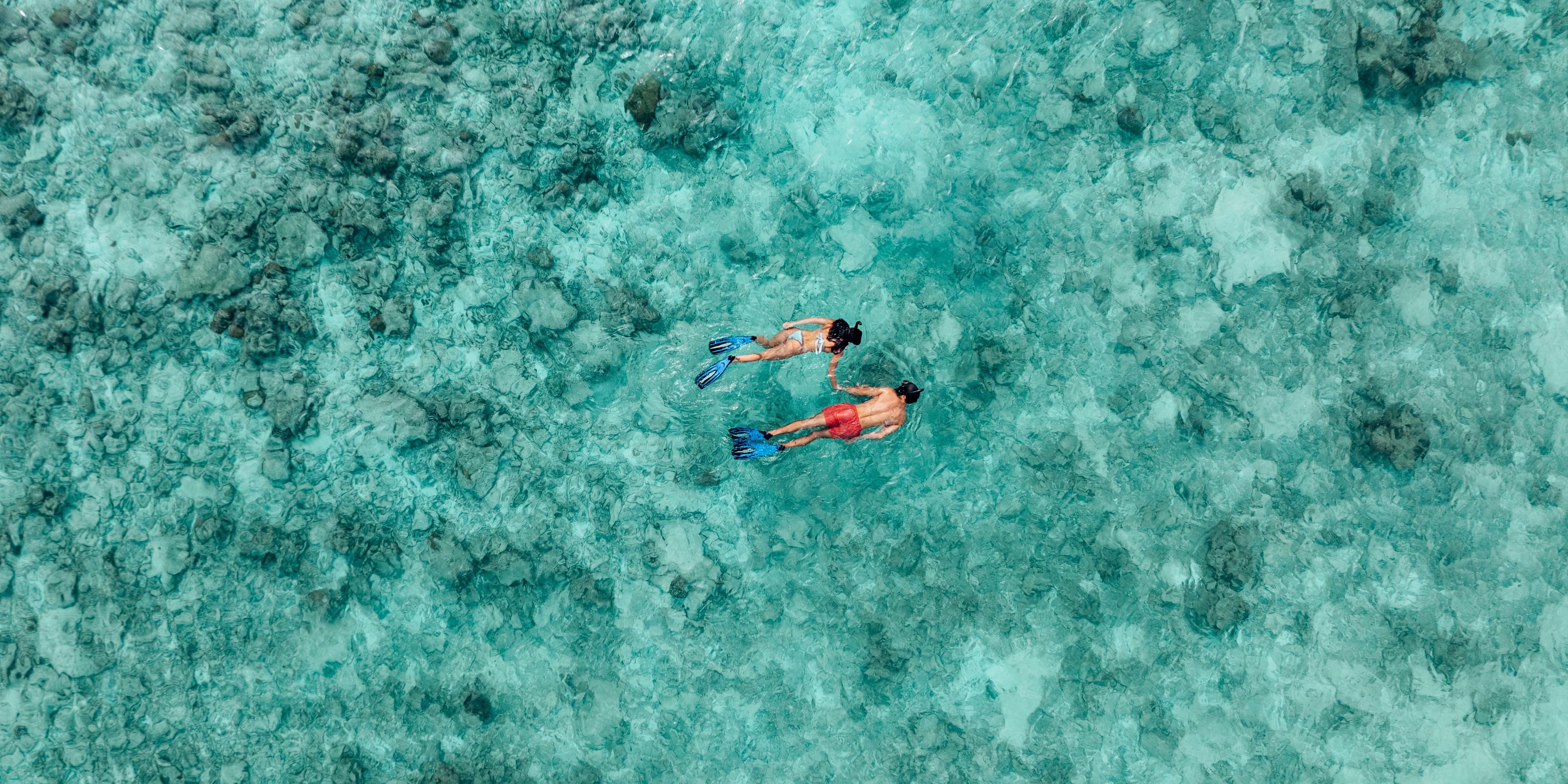 House reef snorkelling