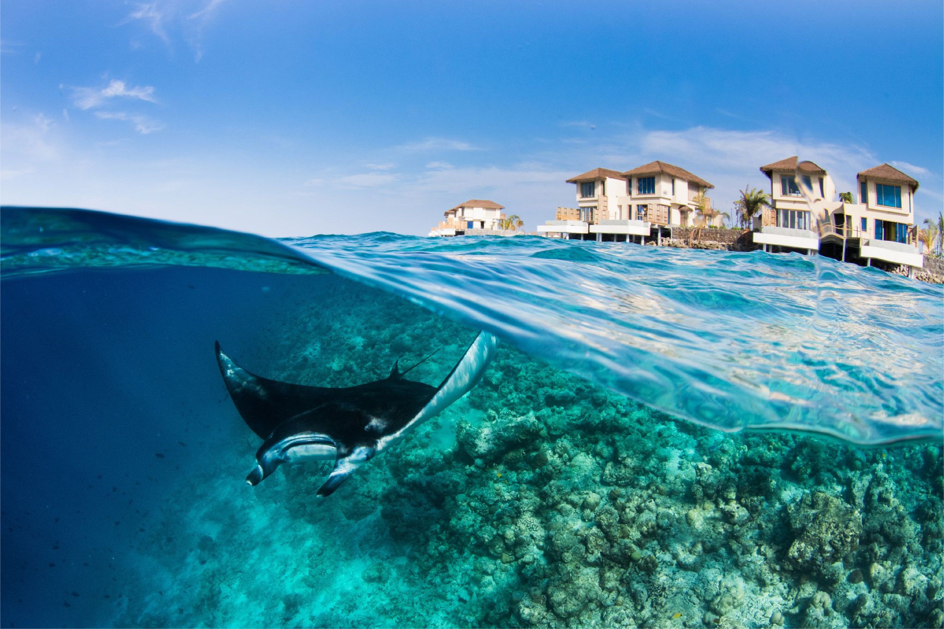 intercontinental-raa-atoll-