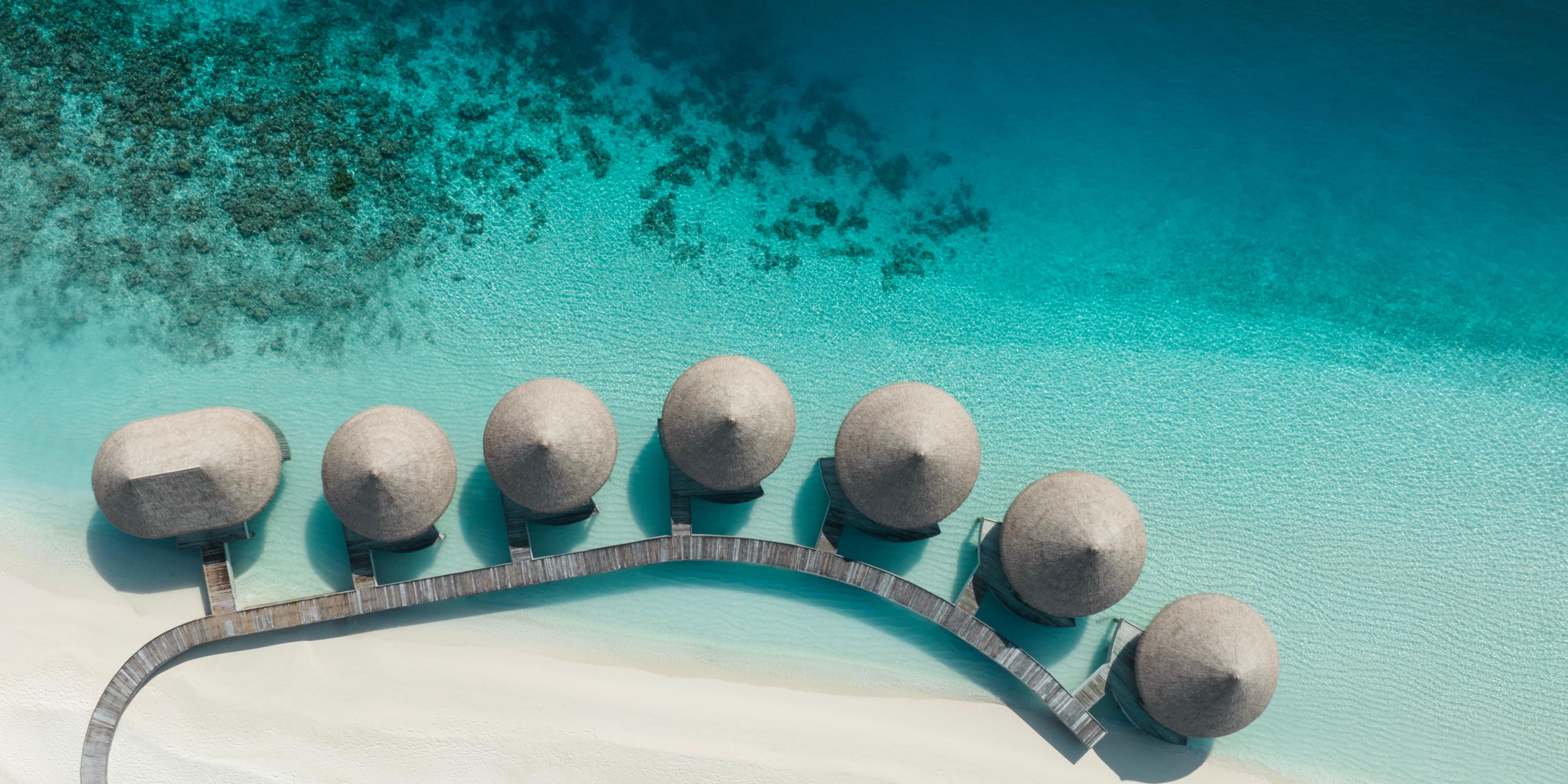 Inspired by the ethereality of the water and transformational power of crisp island air, AVI Spa is designed to recharge the soul by awakening the senses. Rejuvenate in one of six over-water treatment villas, each harnessing the psychology of natural light and sound play to send you into a deep state of relaxation.