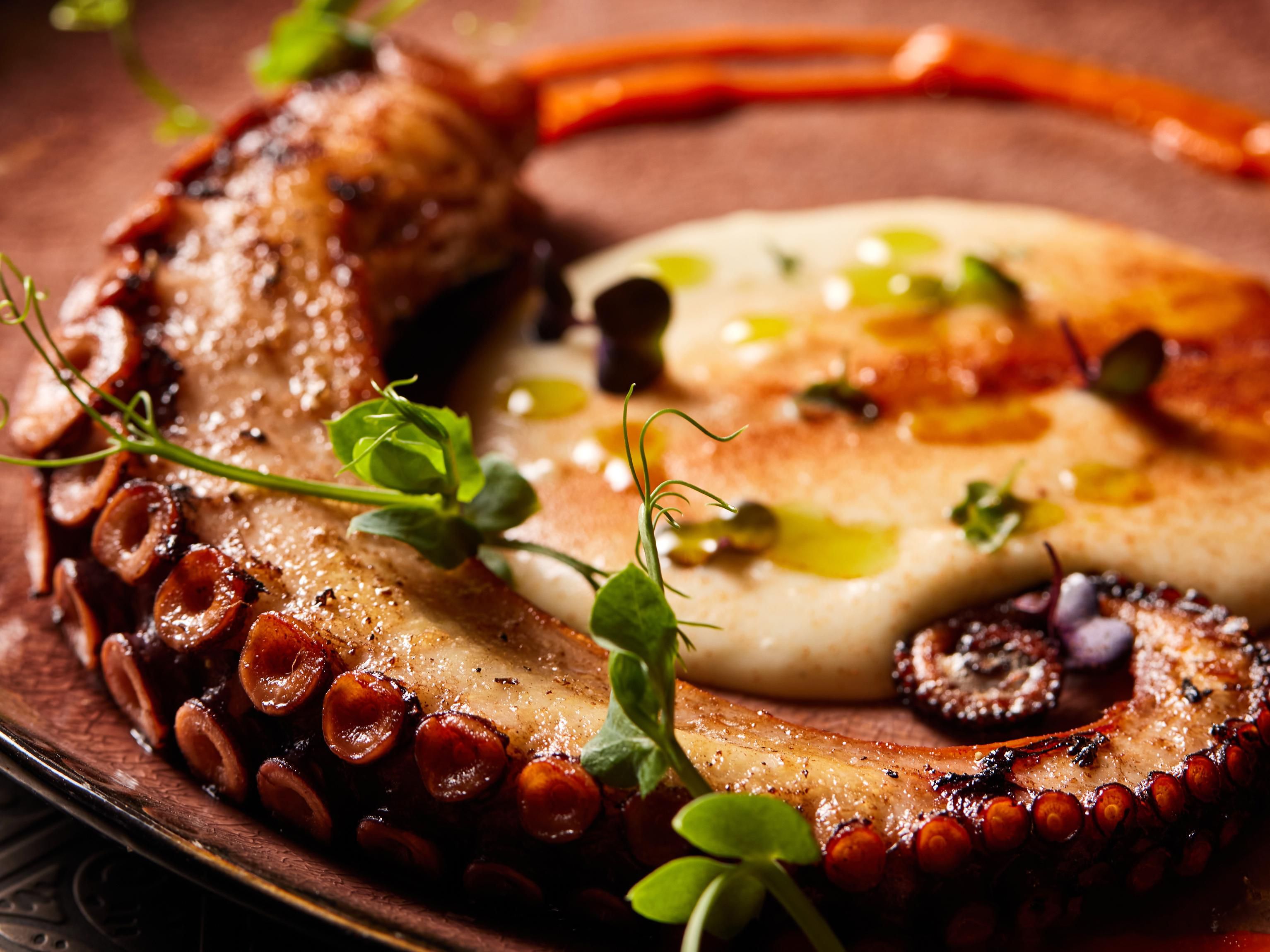 Galician Octopus with Smoked Paprika and Potato Puree at Amarbar