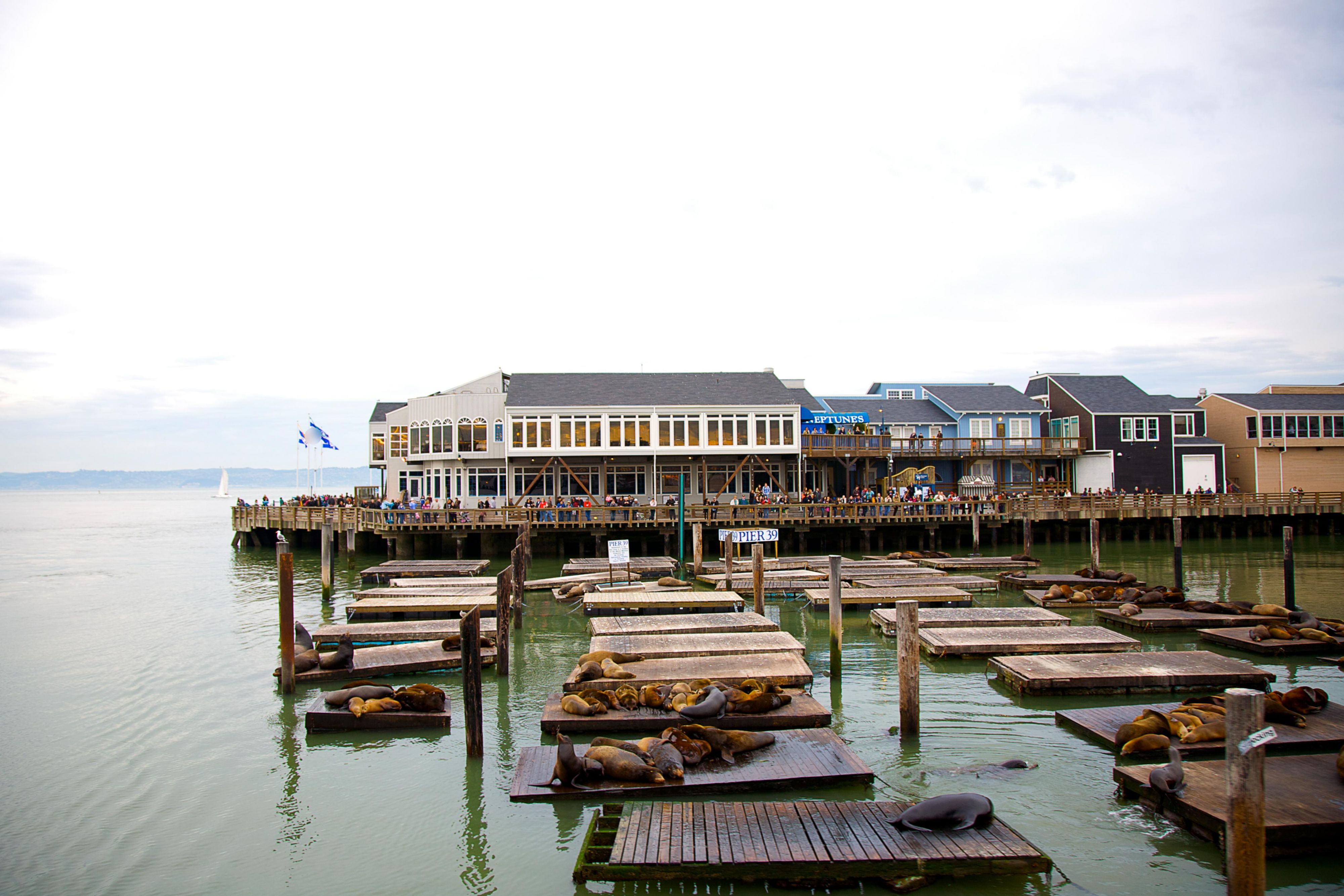 Fishermans Wharf dock.