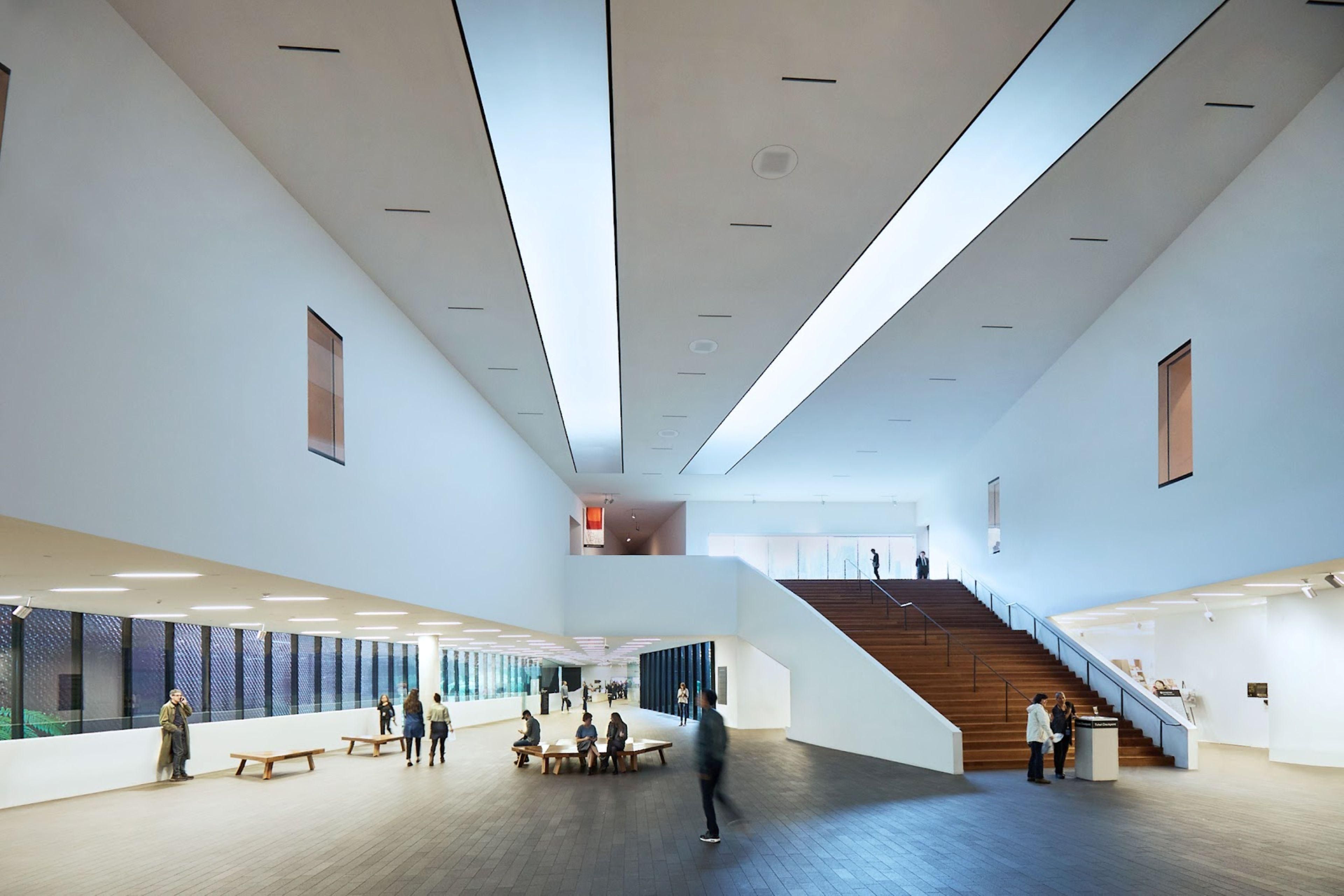 Bright atrium of the de Young Museum in San Francisco.