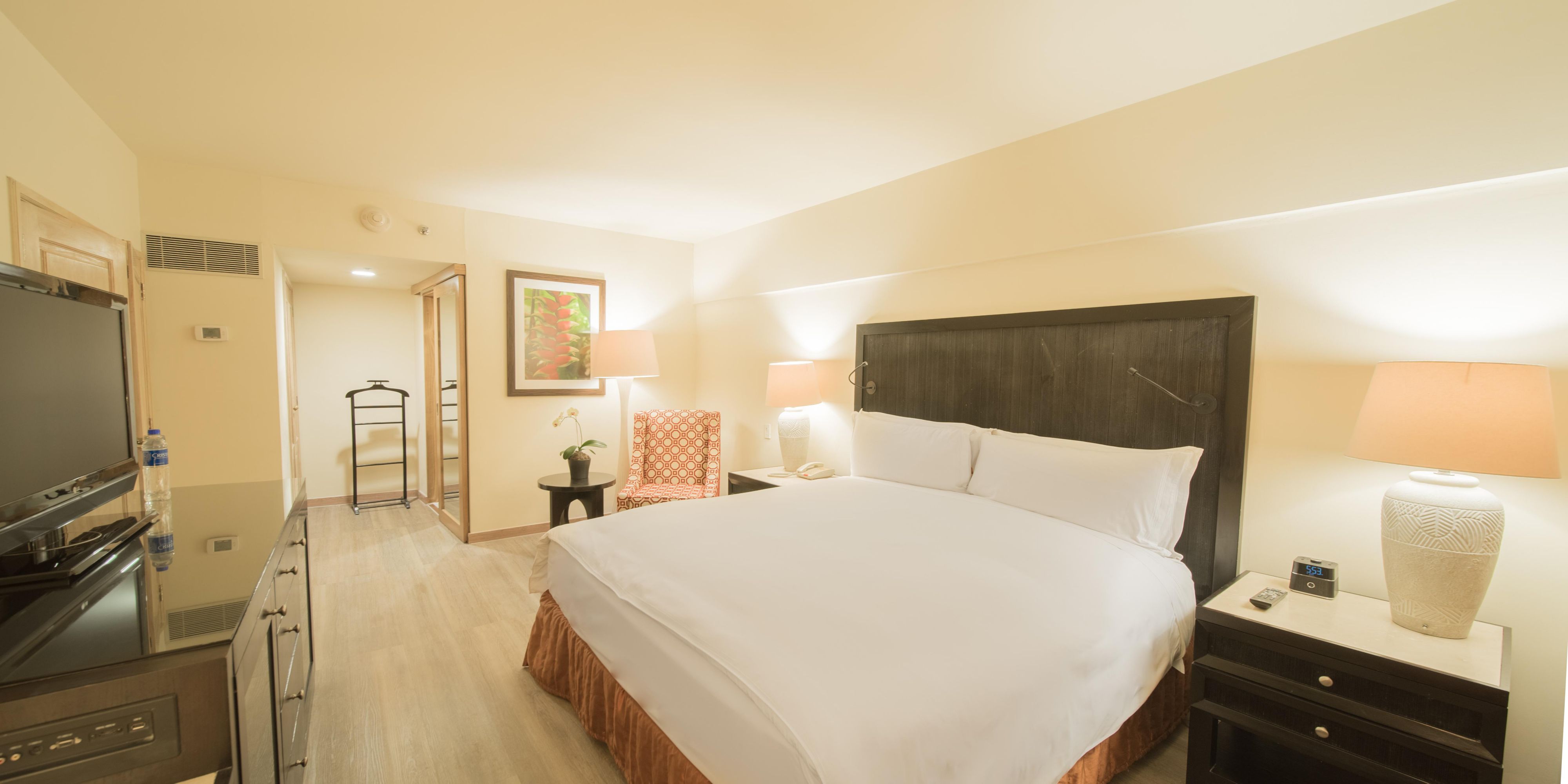 Junior Suite Guest Room