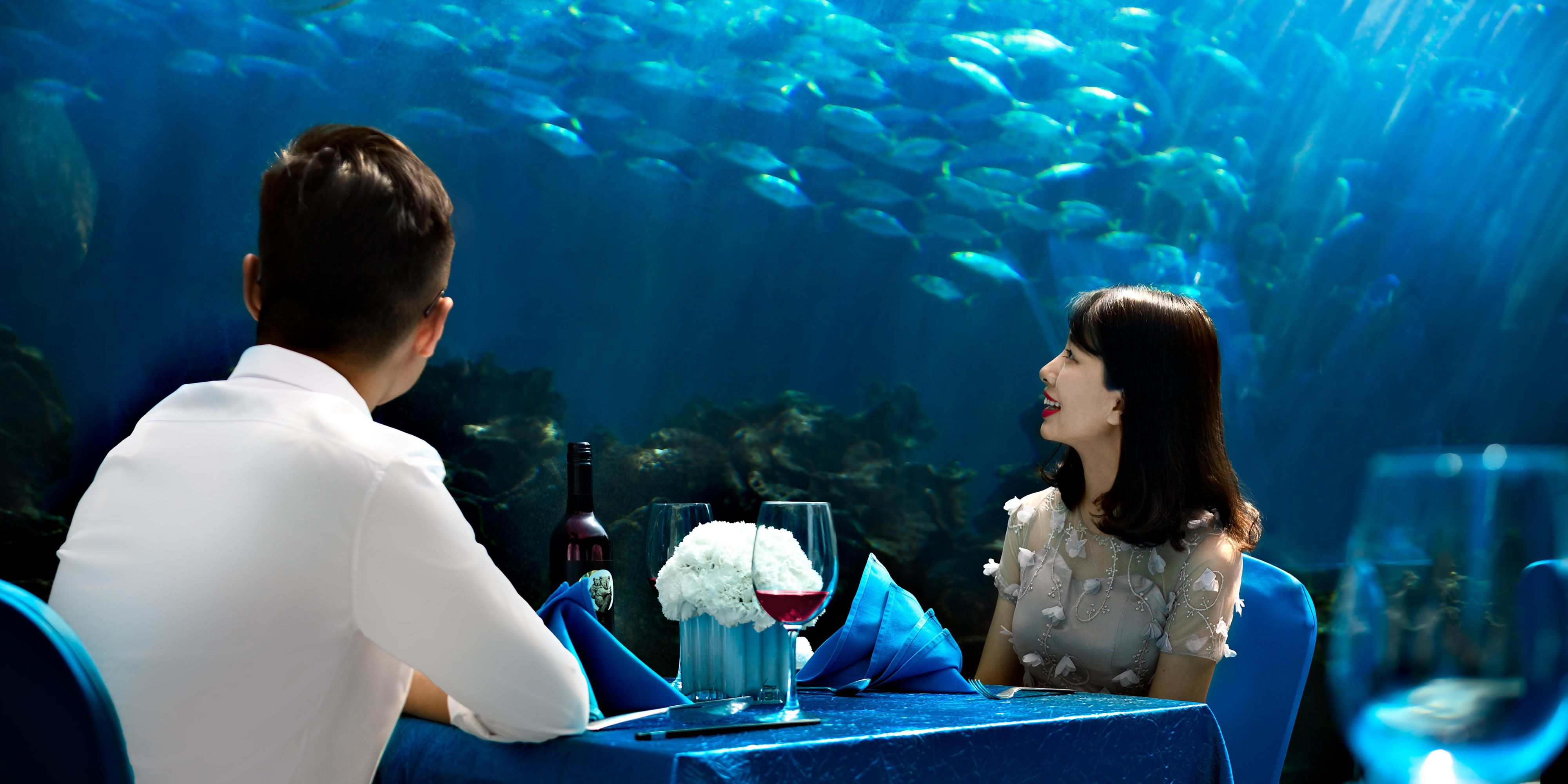 With the water source comes from the South China Sea, a marine restaurant was built featuring a submarine tunnel with fantastic view. There are more than 5,000 marine creatures inhabit in it, surrounded by a 270° full seabed viewing effect on three sides with marvelous light shows, and charming corals.