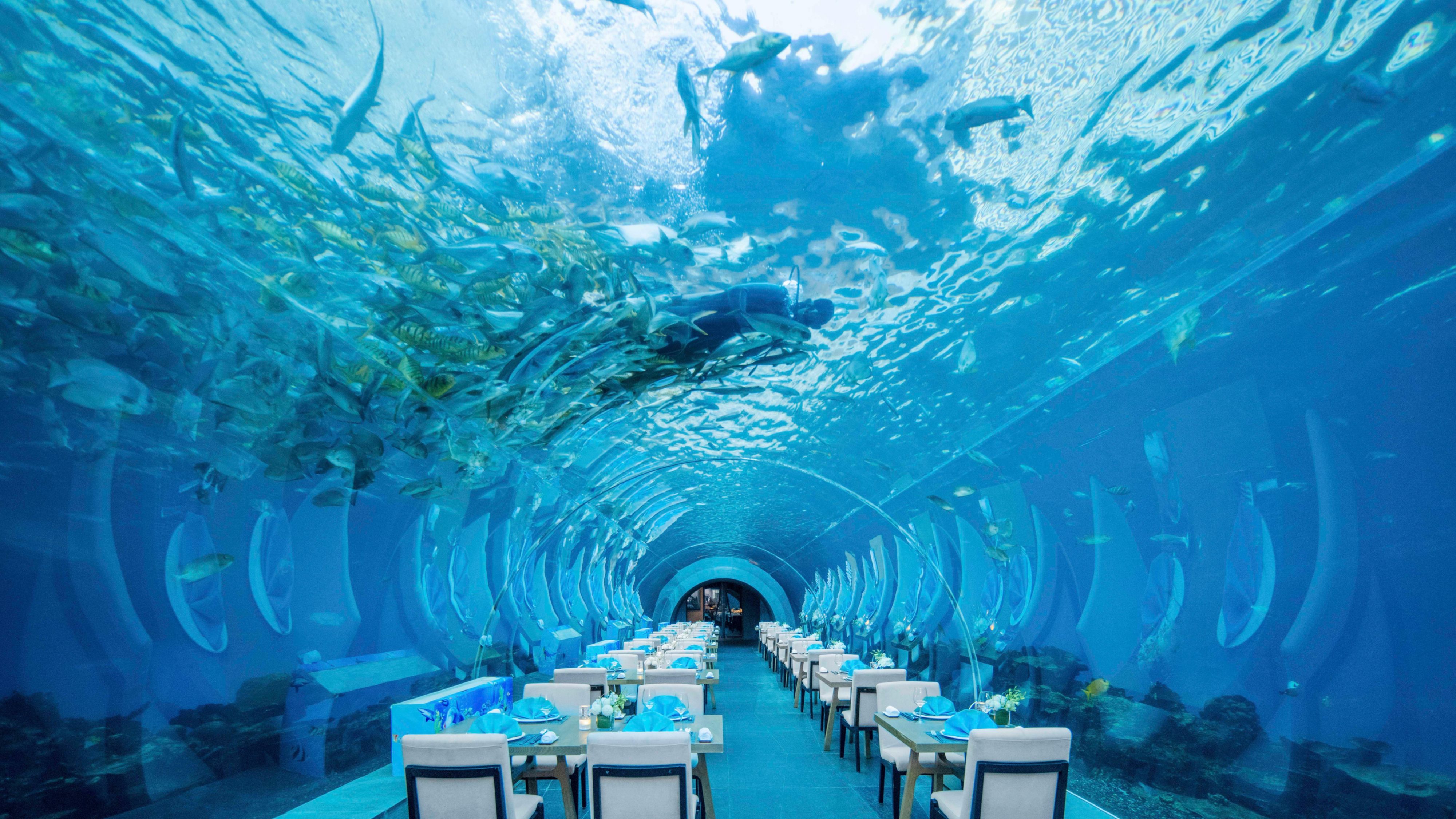Dining Options in Sanya | InterContinental Sanya Haitang Bay Resort