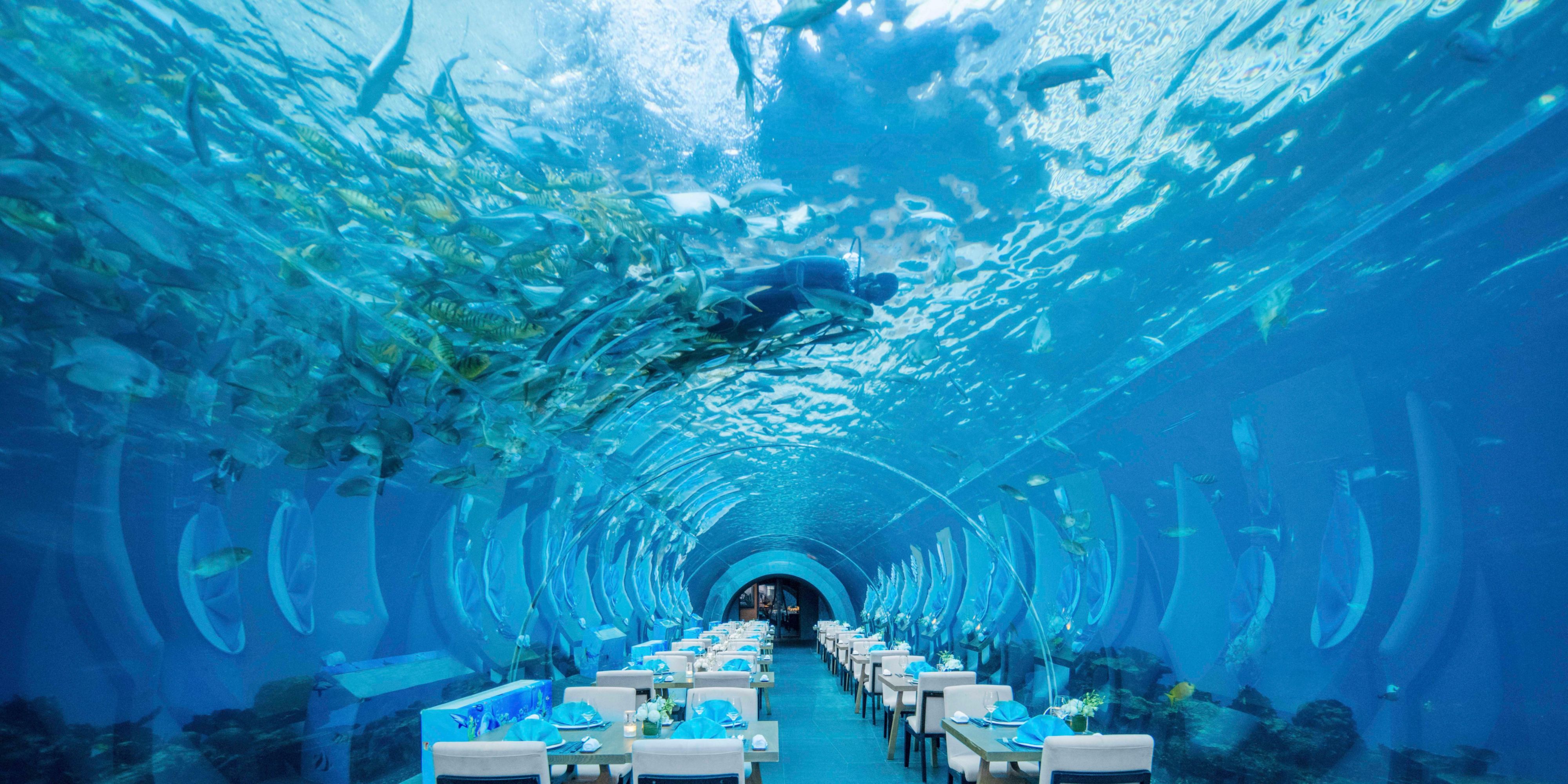 Immerse yourself in a true resort luxury at our signature restaurant Aqua. The buffet emphasizes regionally sourced ingredients and fresh seafood. We also offer signature afternoon tea. Restaurant with an indoor aquarium, Aqua offers a spectacular view of sea creatures and unmatched service in a relaxed atmosphere - a true resort experience.